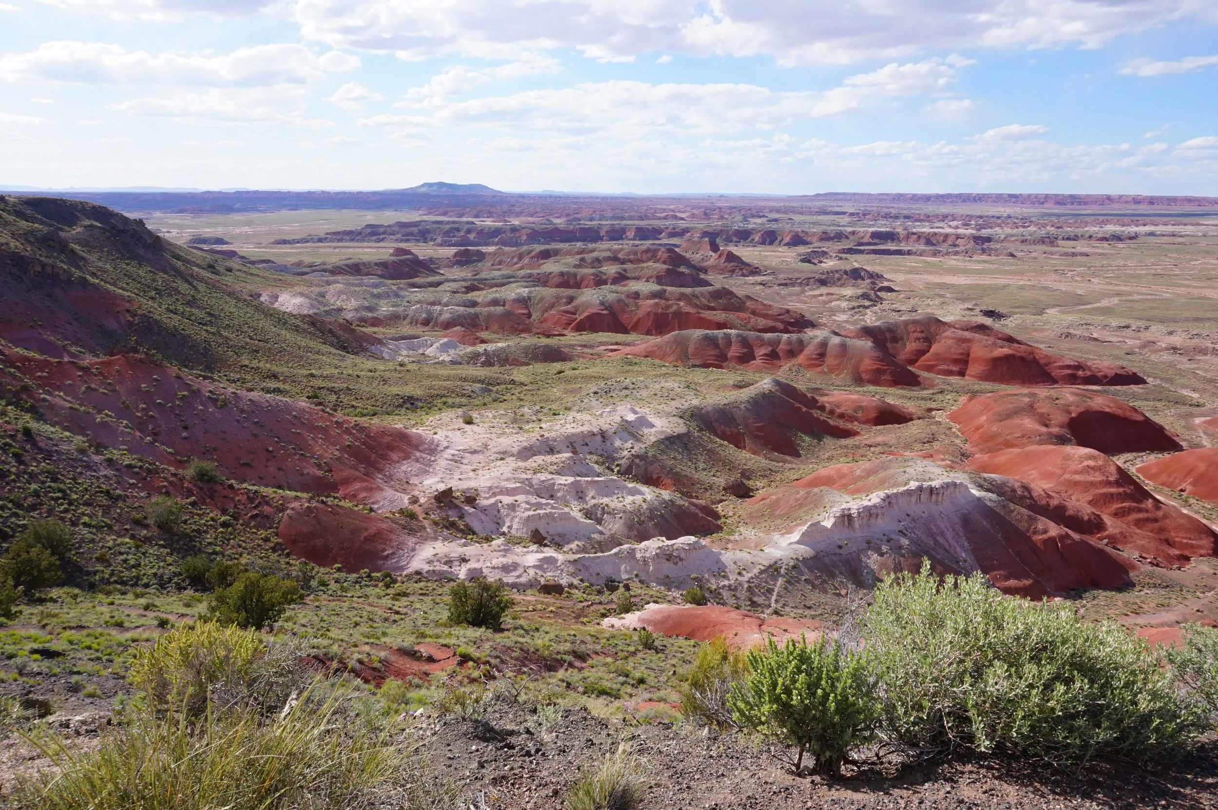 Painted Desert