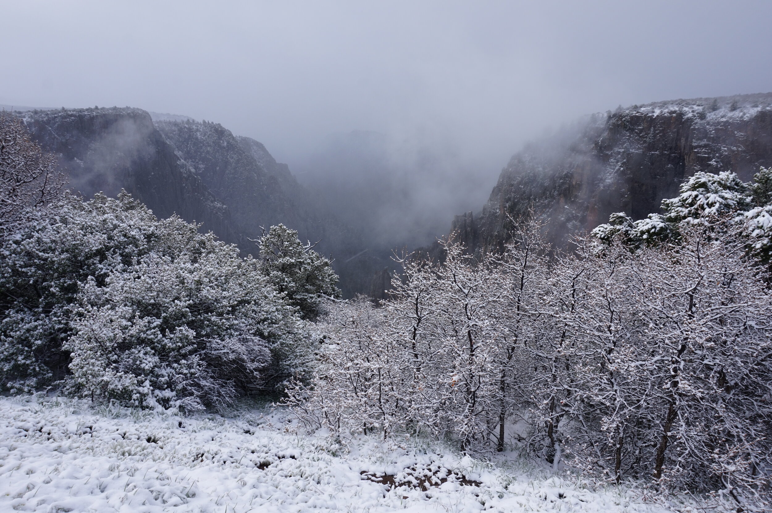  Black Canyon of the Gunnison National Park, CO 