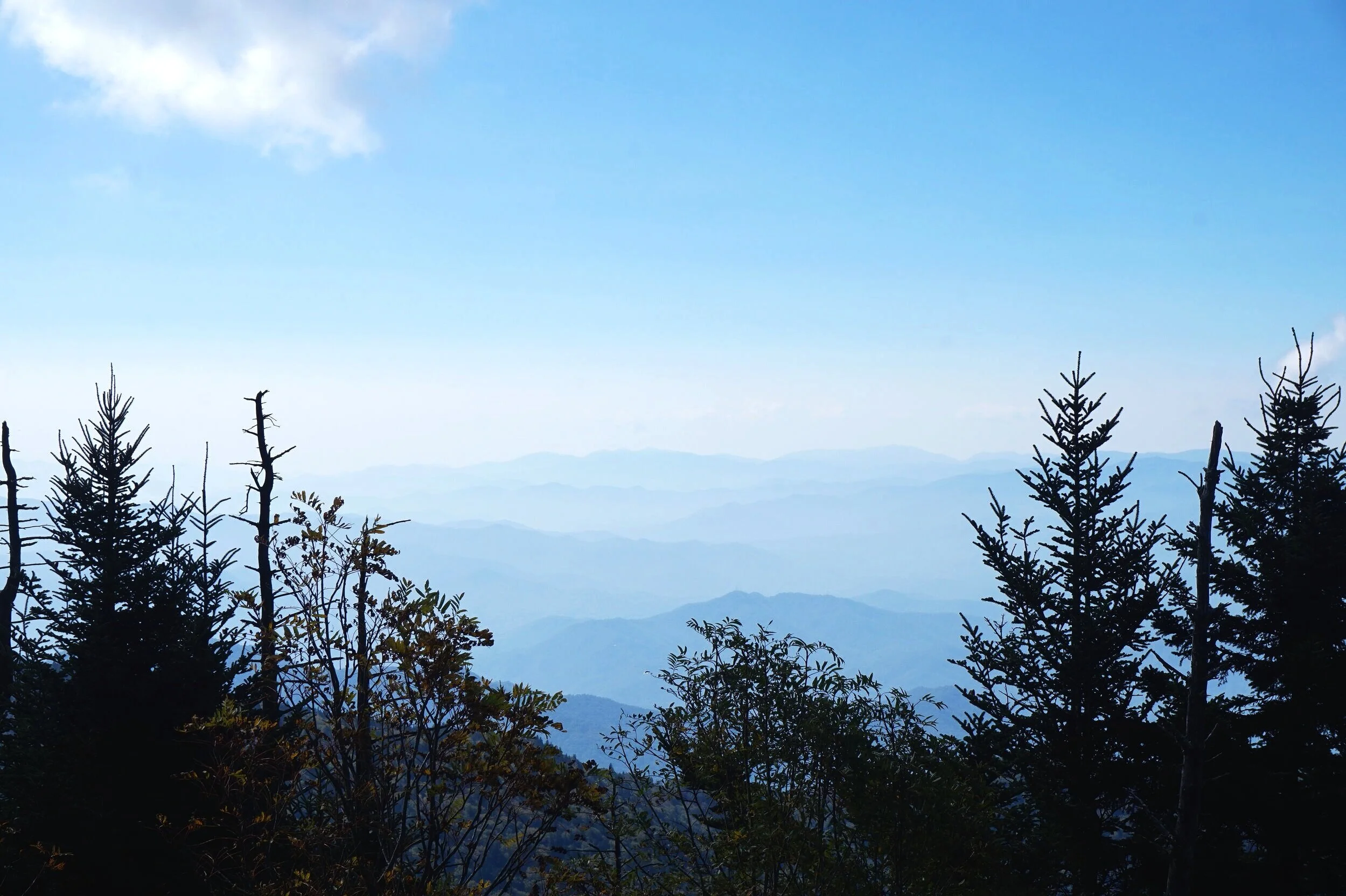 Great Smoky Mountains National Park, TN