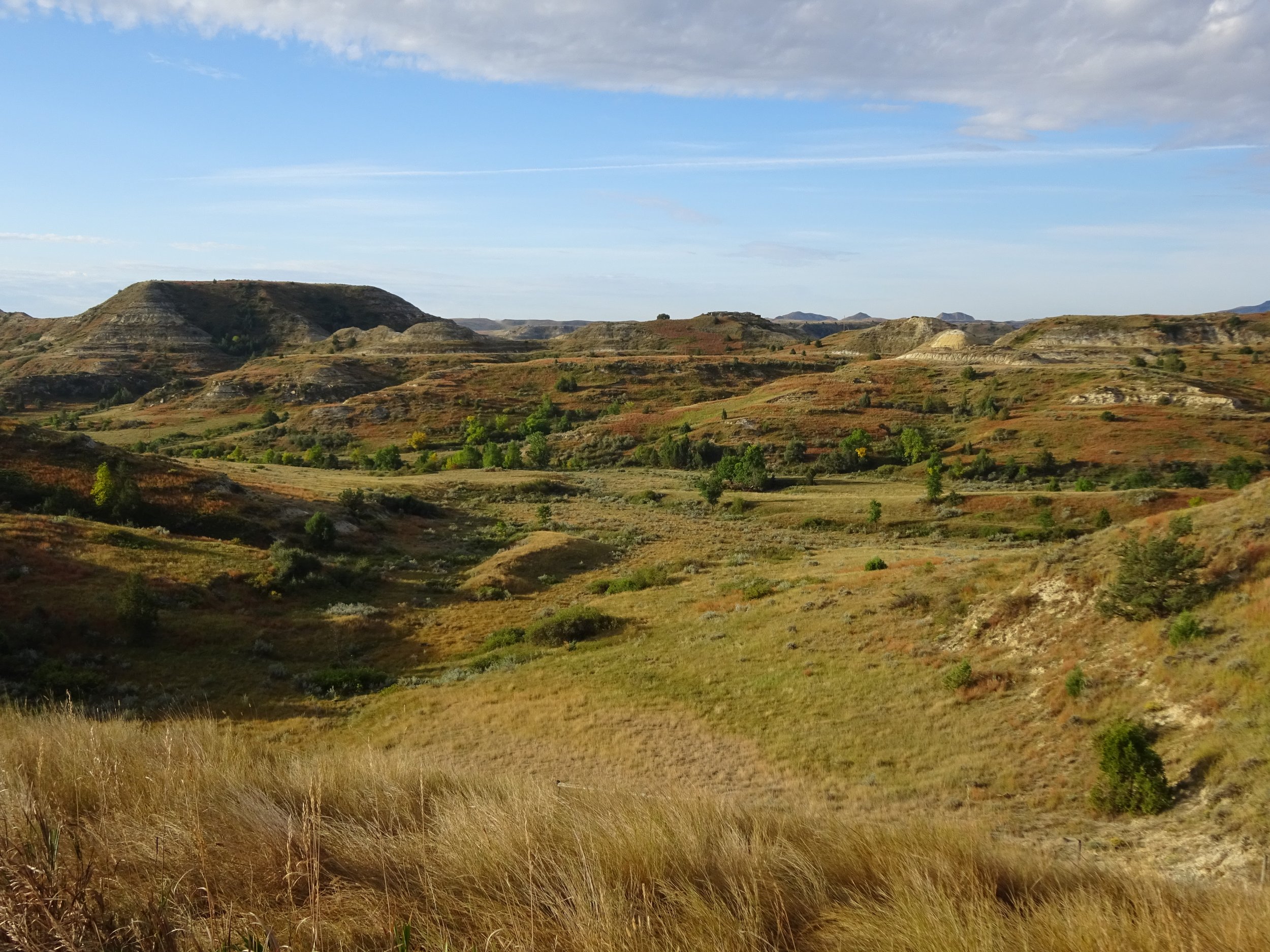  Theodore Roosevelt National Park, ND 