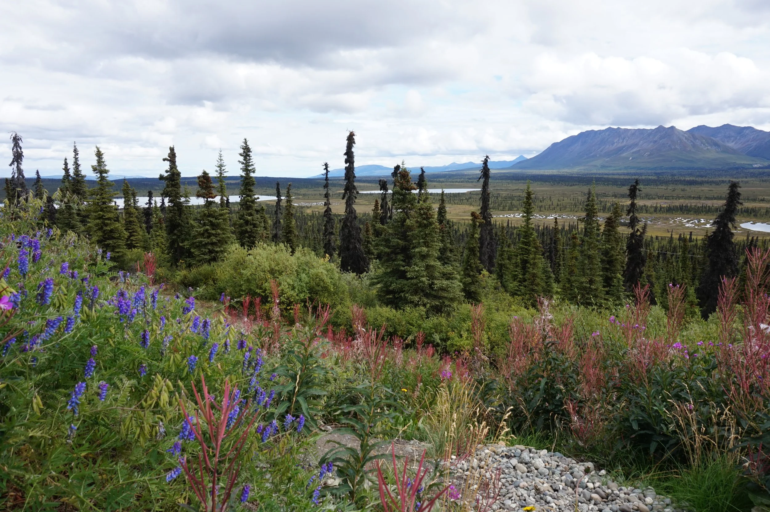  Glen Highway, AK 