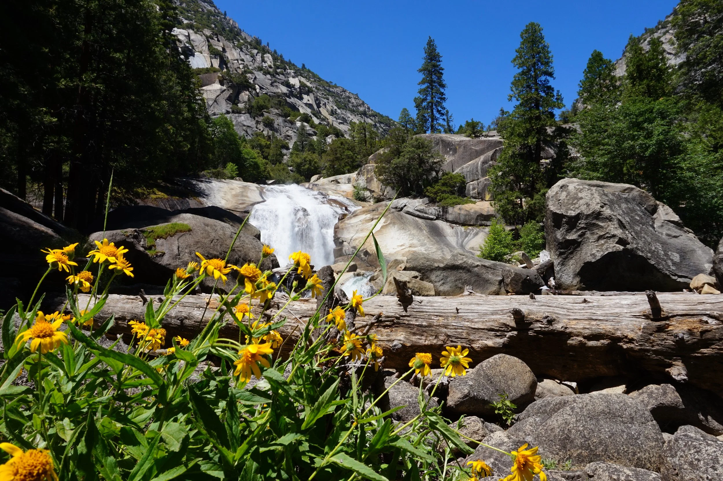  Kings Canyon National Park, CA 