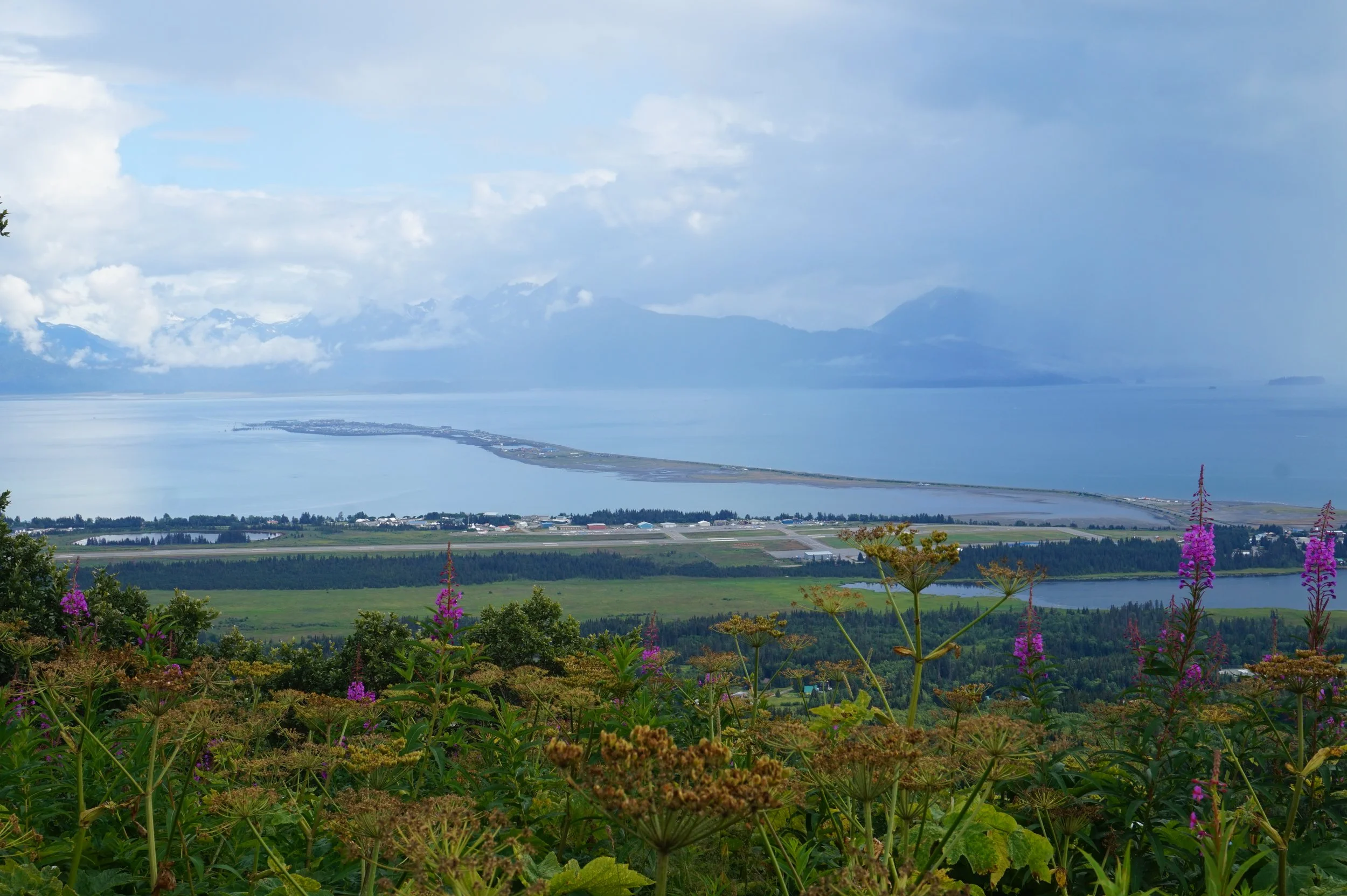  Homer, AK 