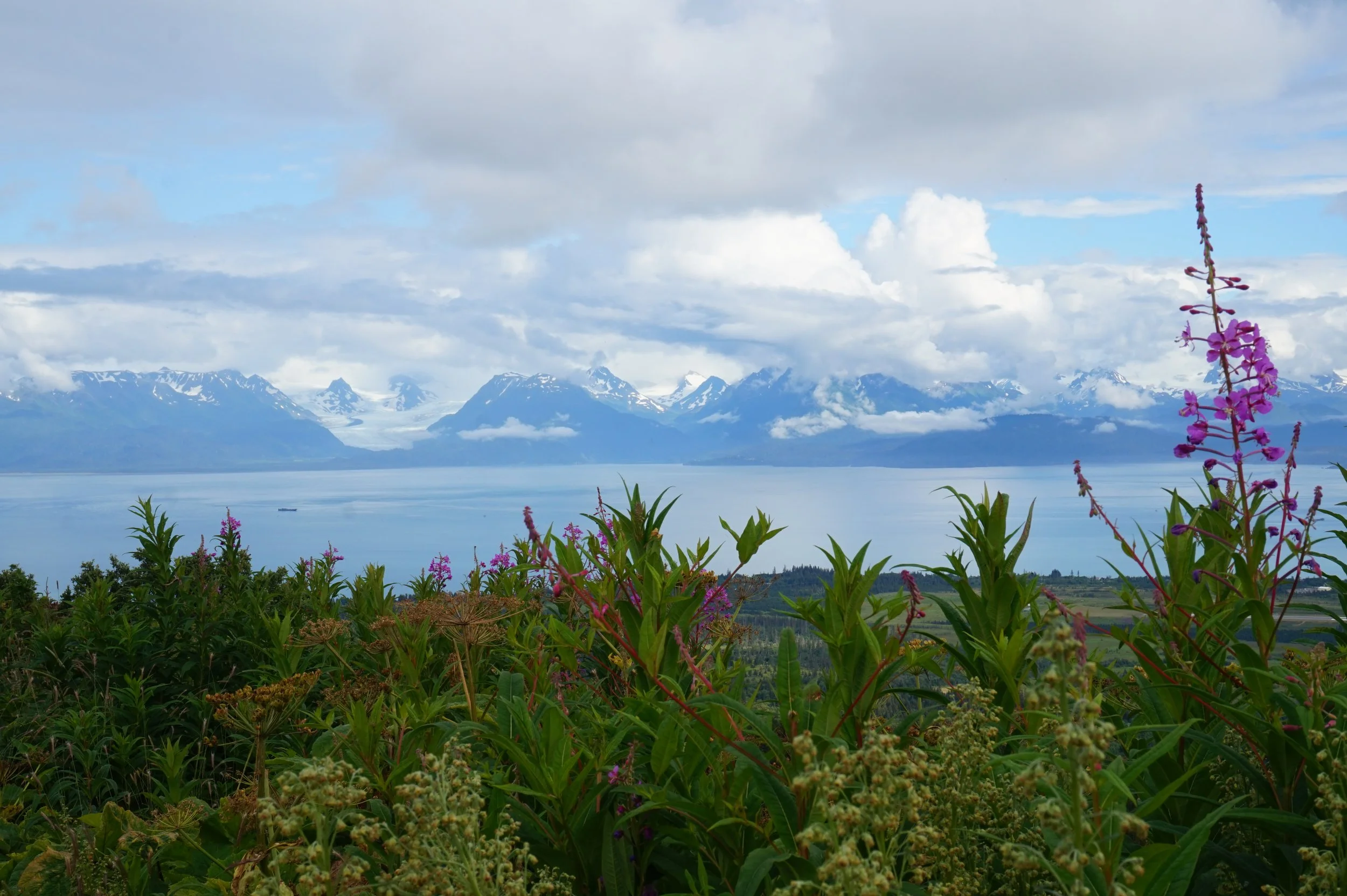  Homer, AK 