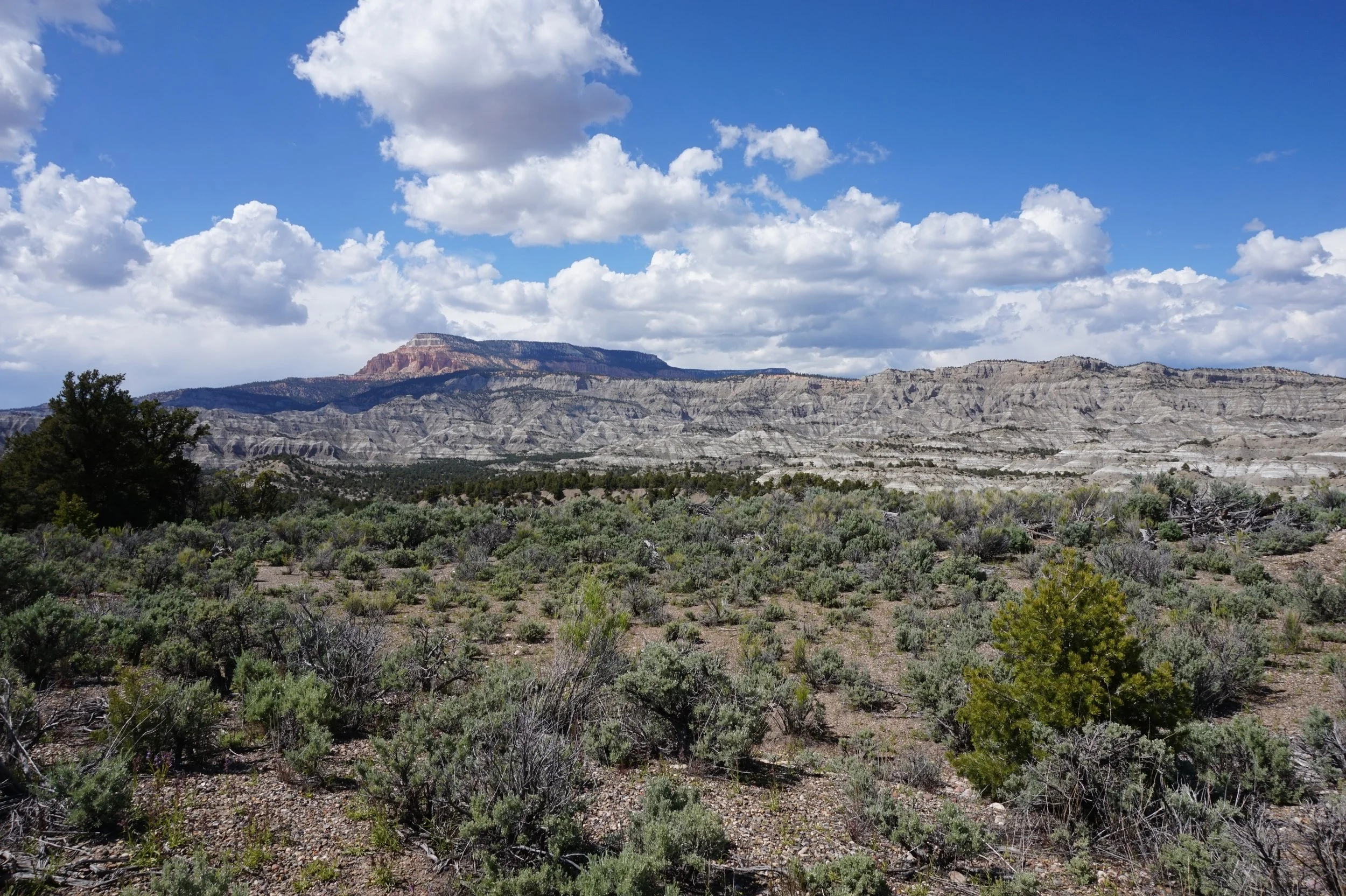 Highway 12 Between Bryce and Highway 24