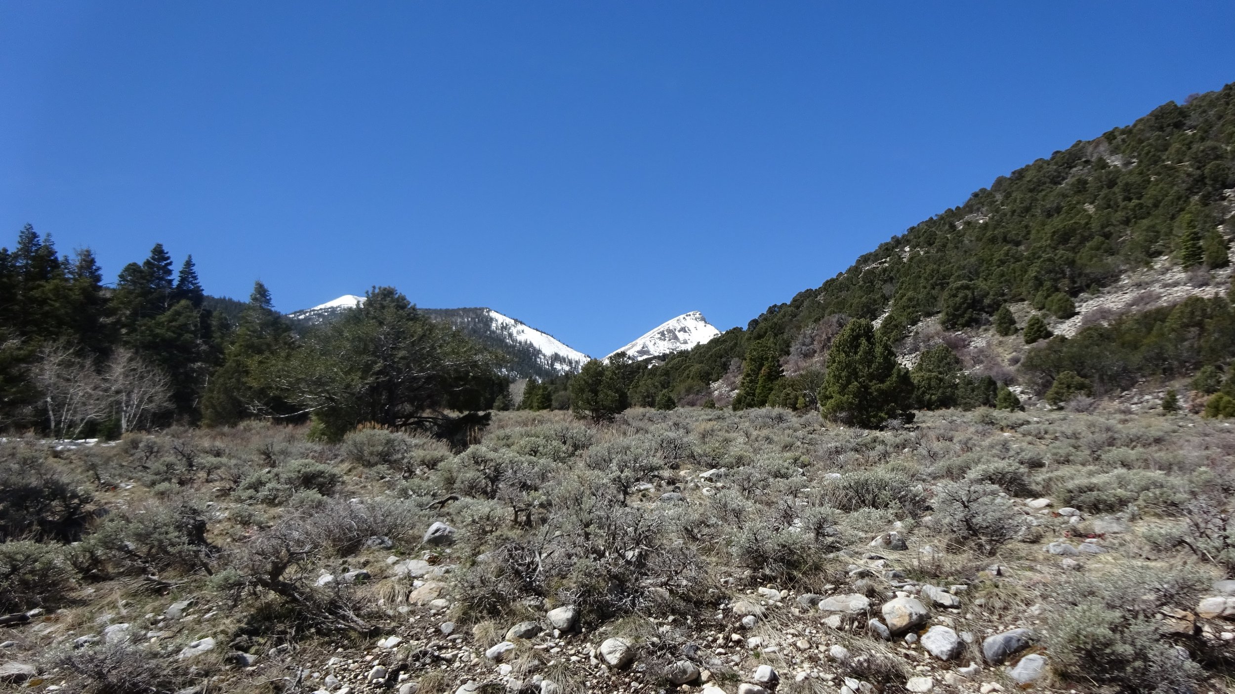  Great Basin National Park, NV 