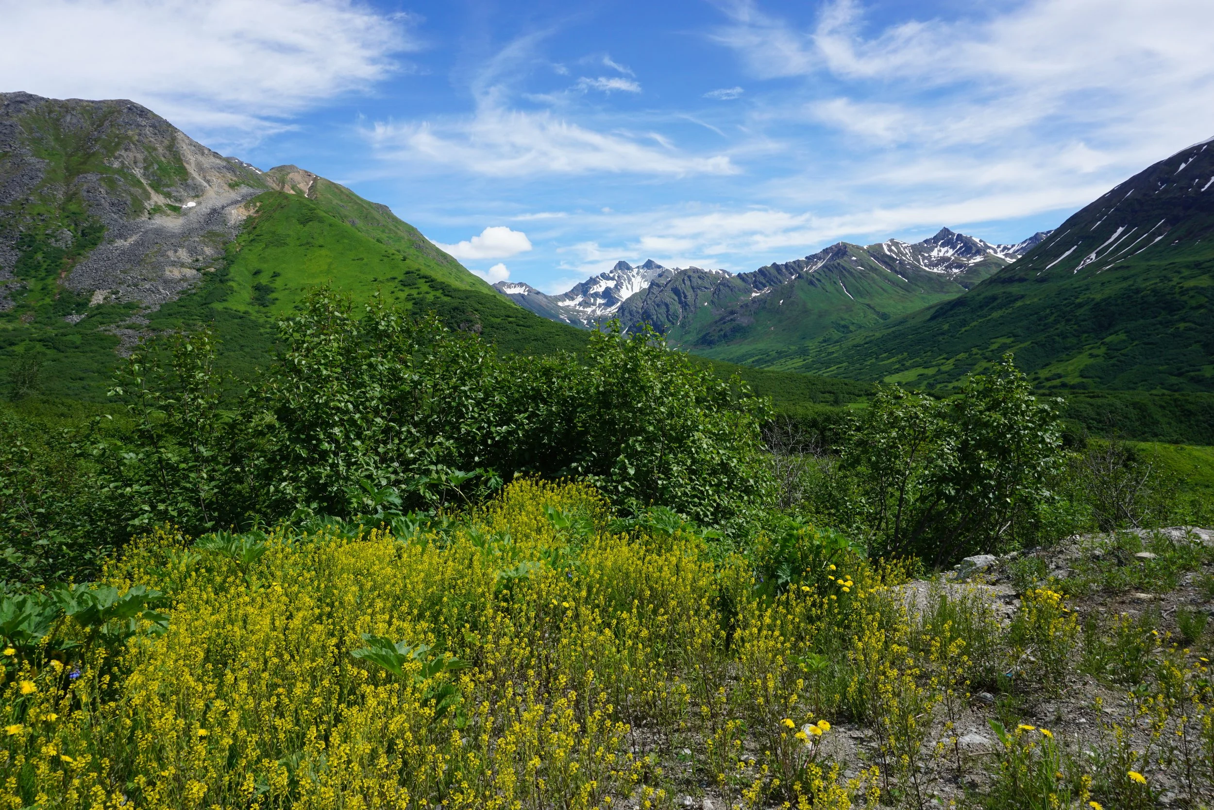  Hatcher Pass, AK 