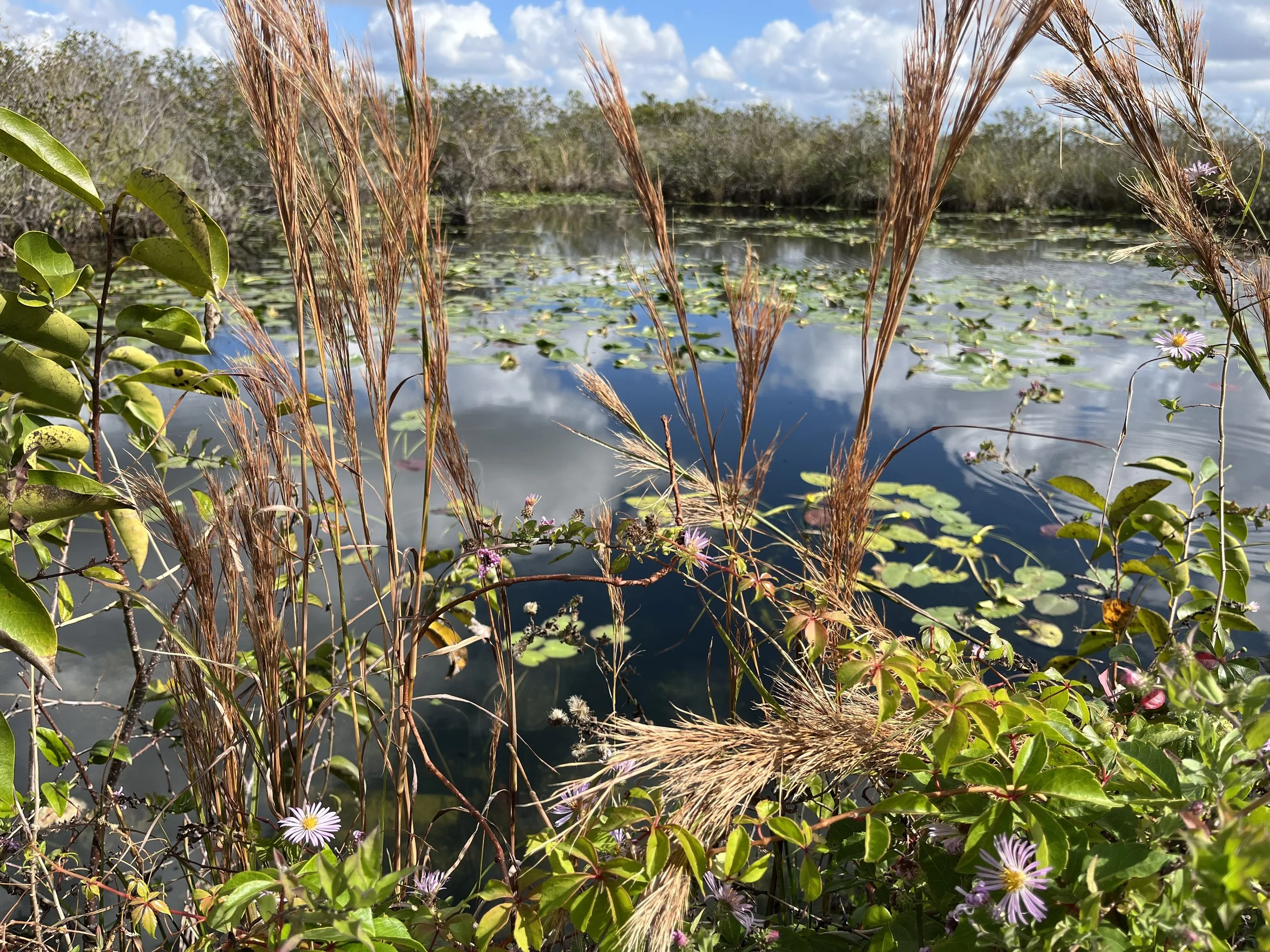 Everglades National Park, FL