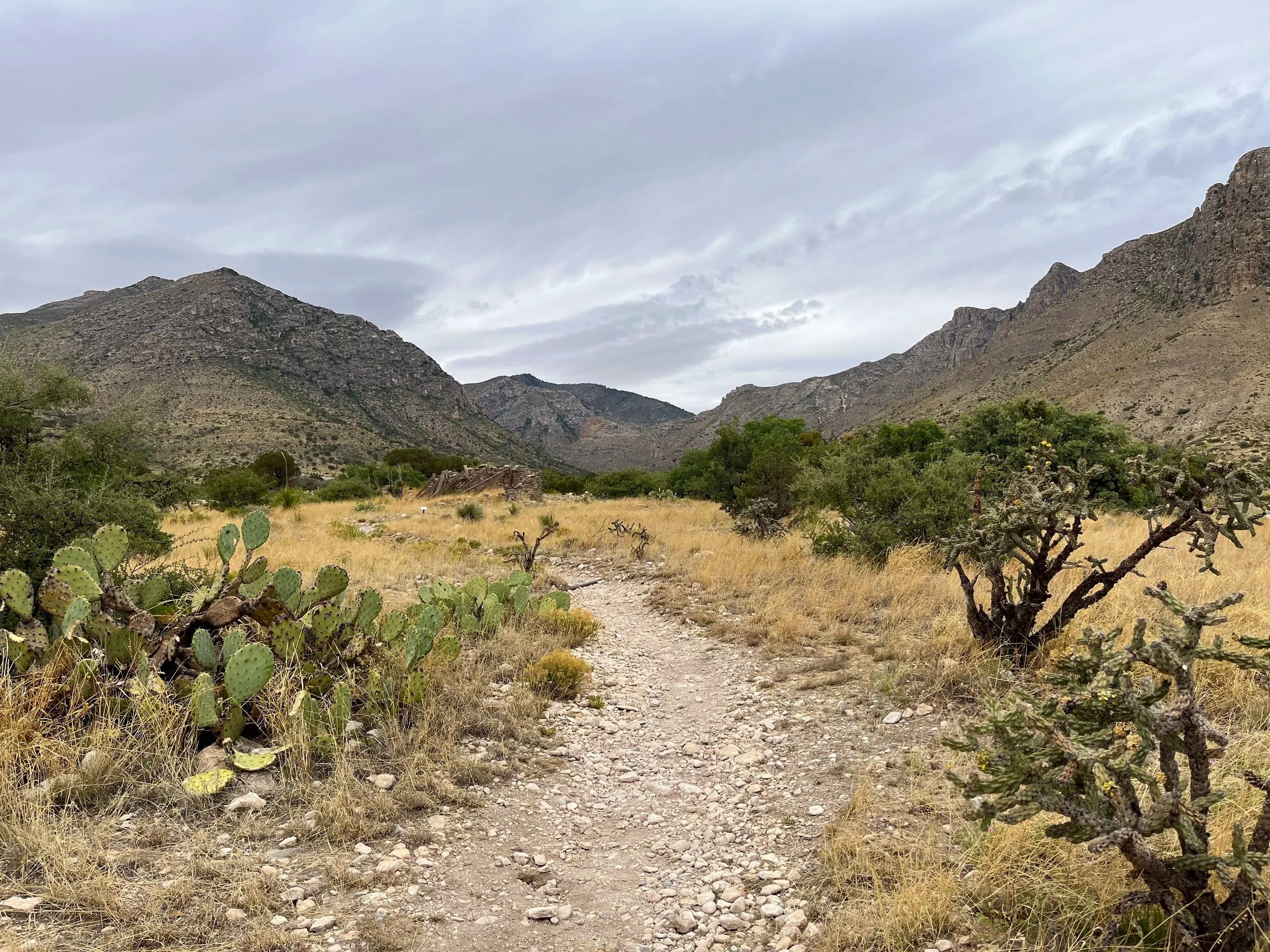  Guadalupe Mountains National Park, TX 