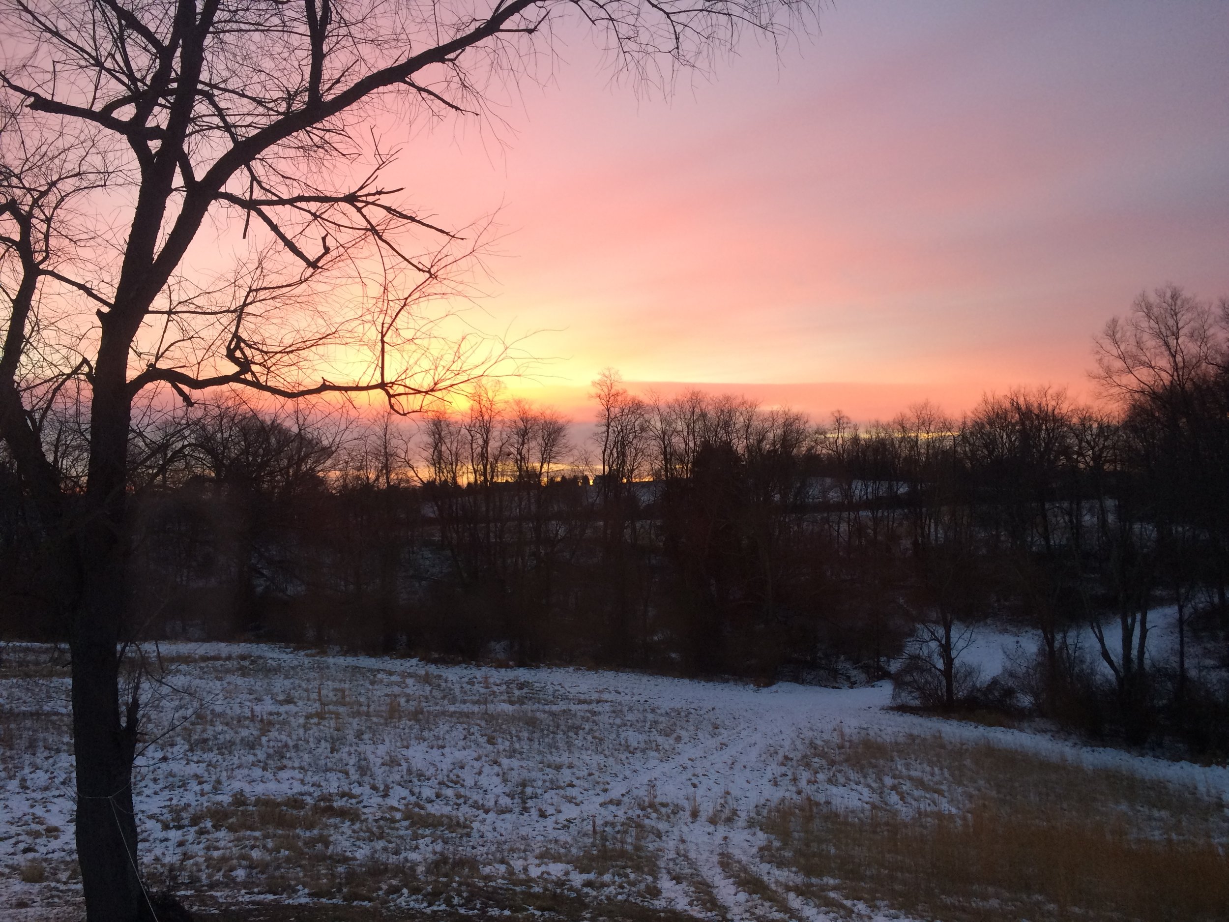 IMG_6259.jpeg
