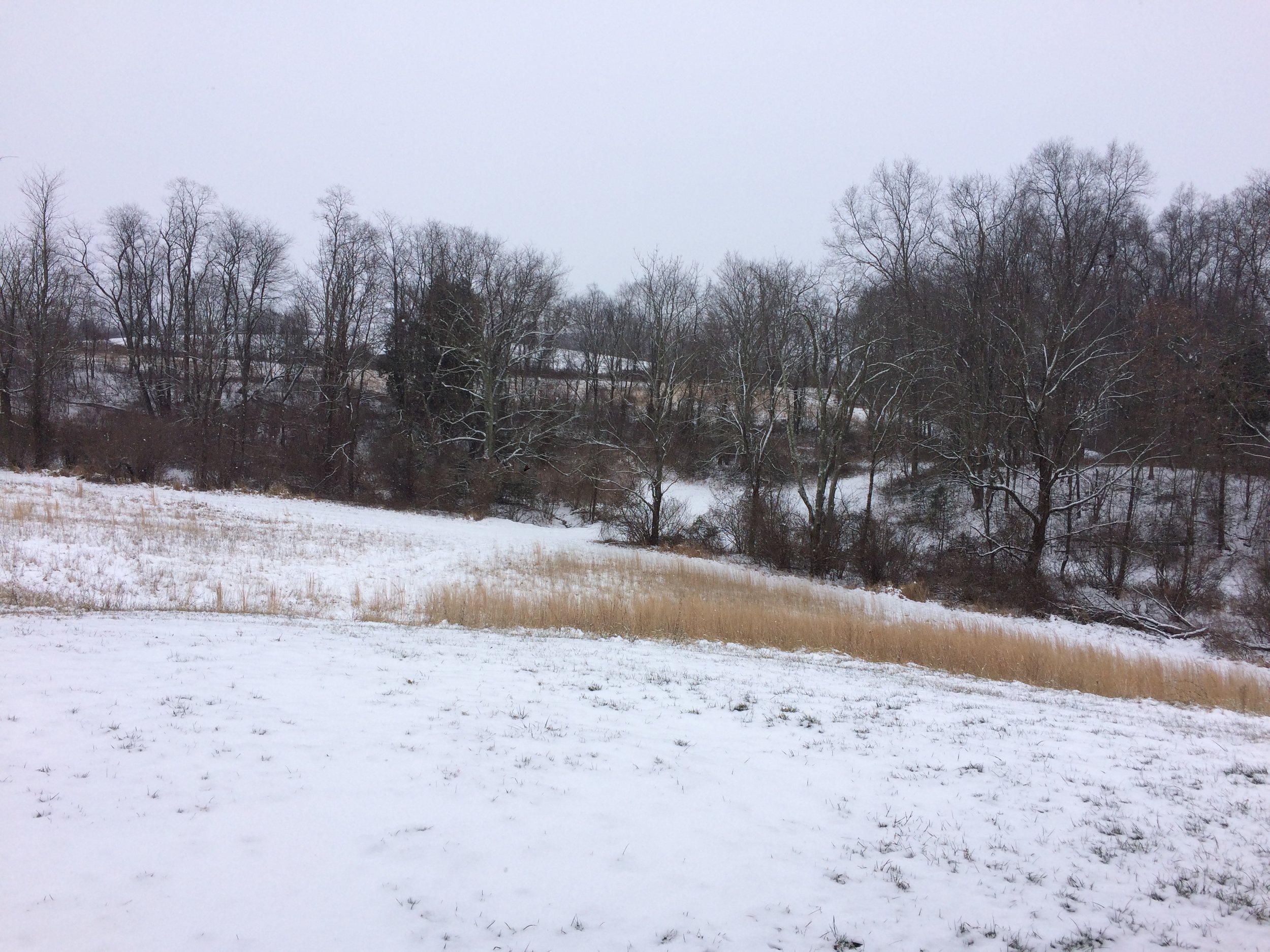IMG_6242.jpeg