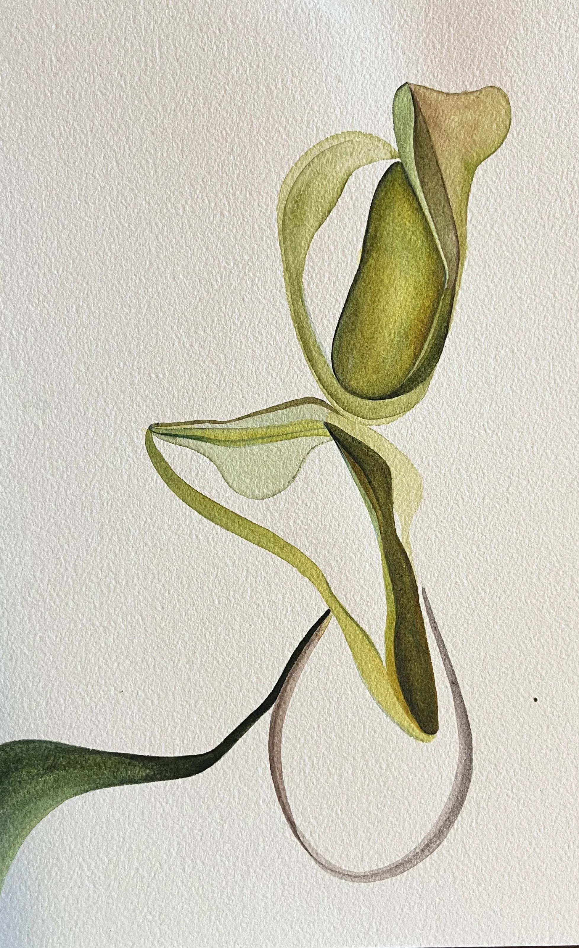 Everyone Has Nipples, watercolor & gouache on paper, 11 x 7 in., SOLD