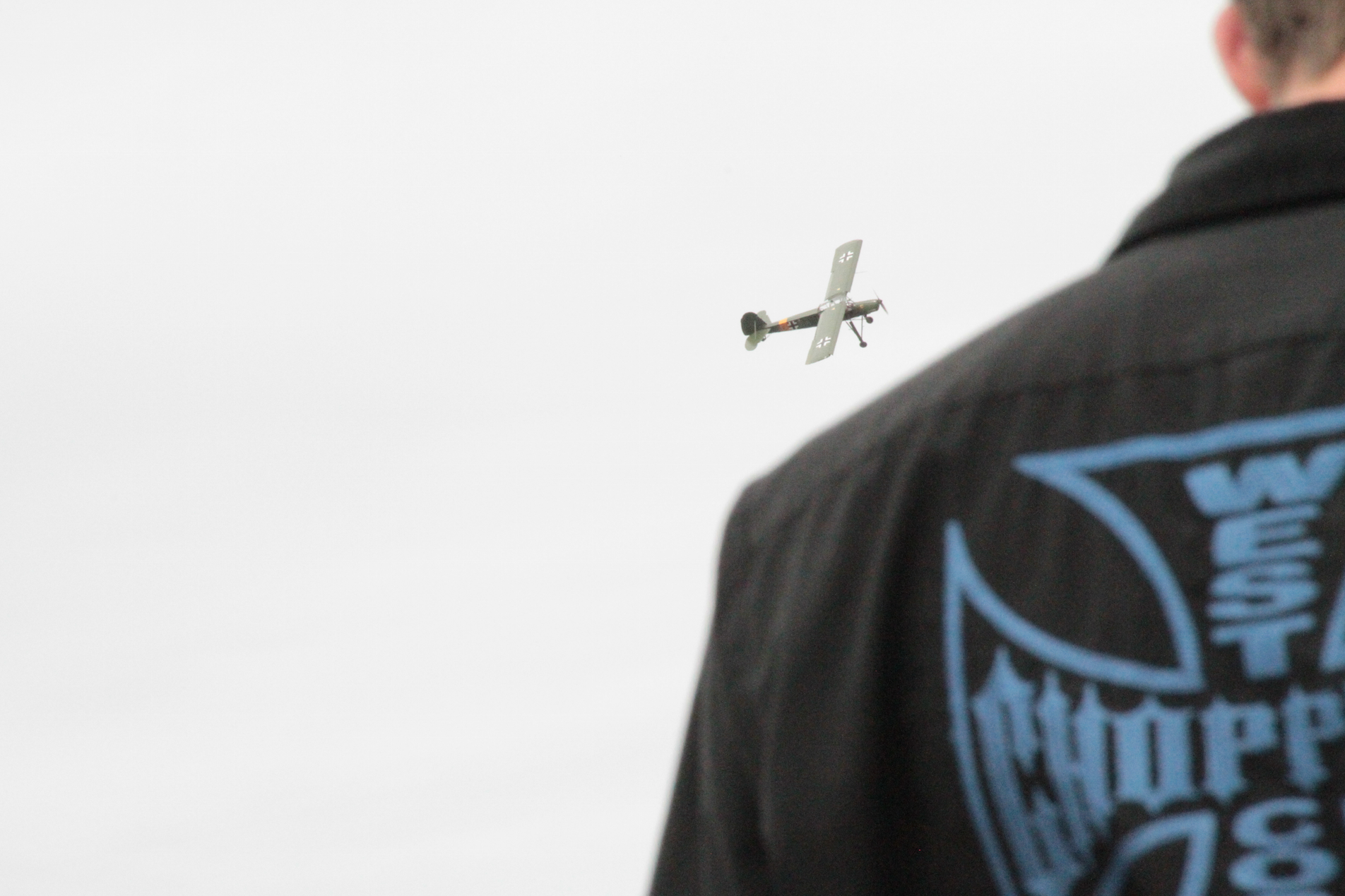 Mosquito coming to bite