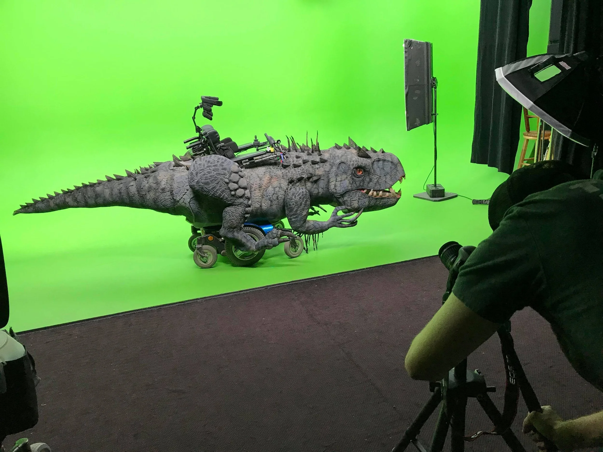 Rex new 2.jpeg