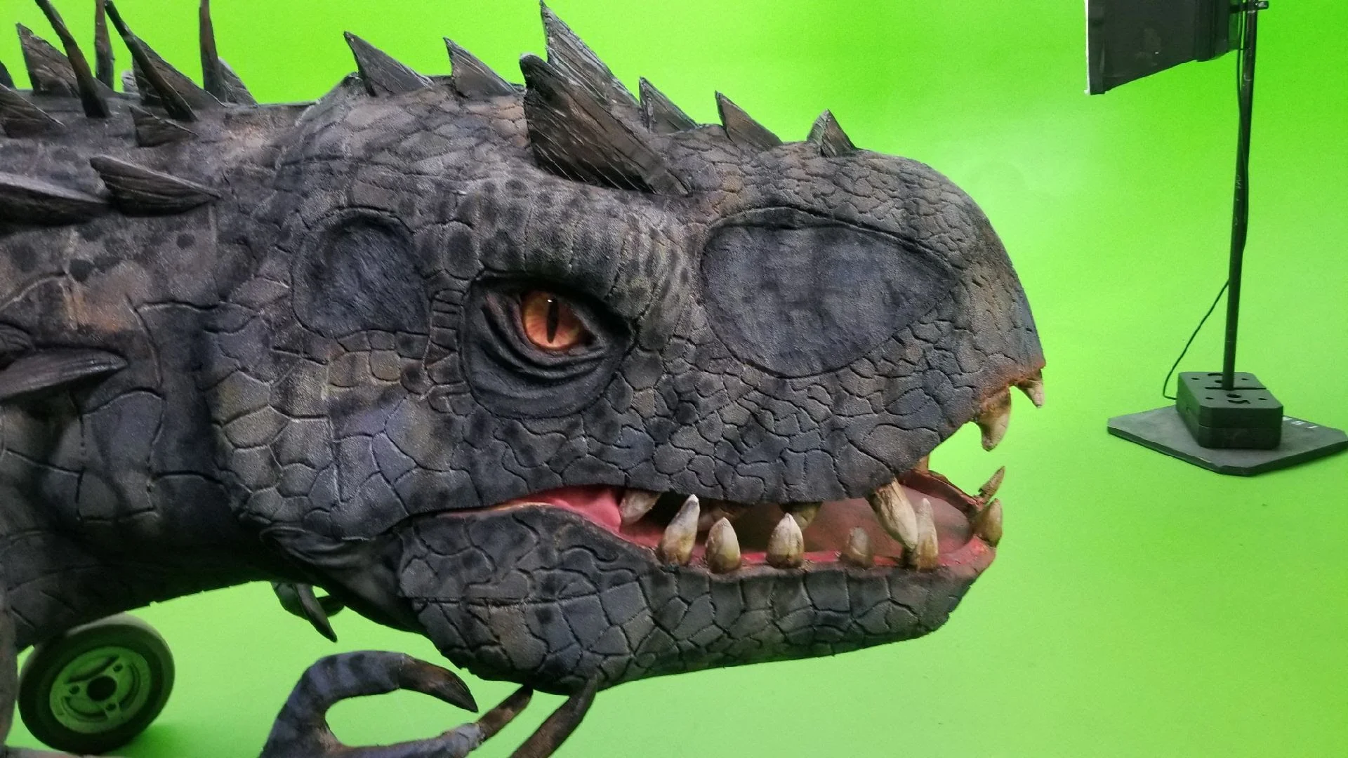 Rex new .jpeg