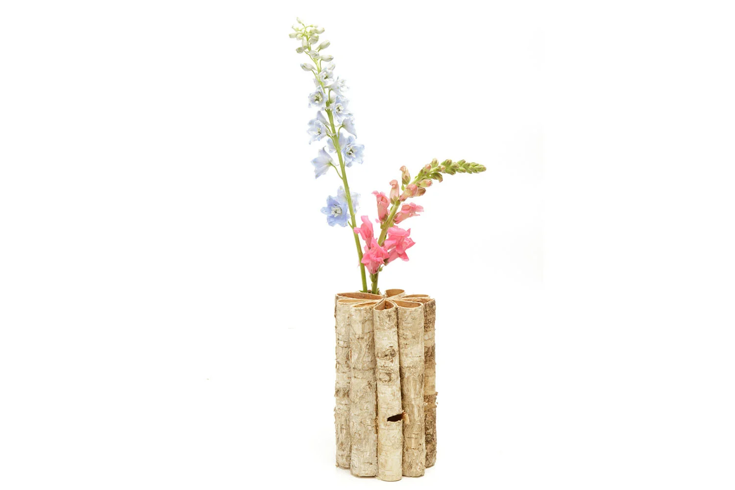 Birch Test Tube Vase (8" h) 4-