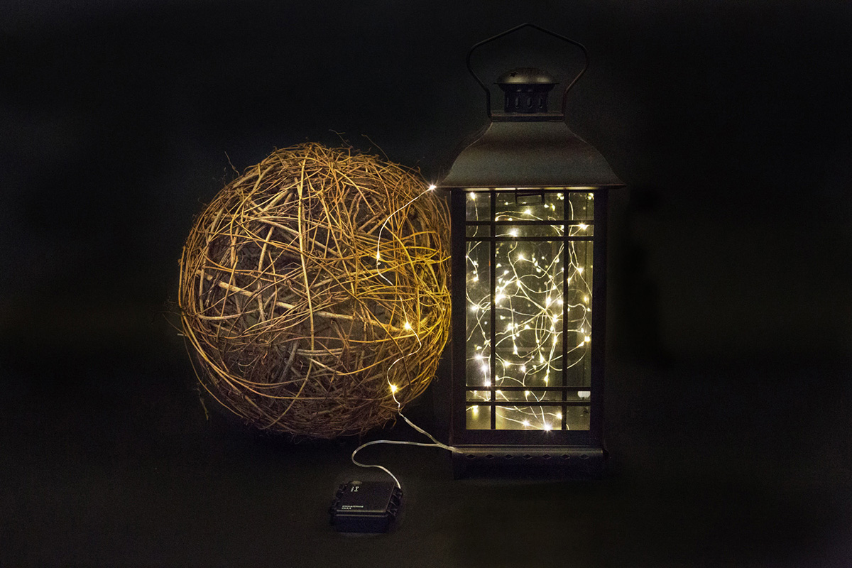 Fairy Lights 10' 3.50-