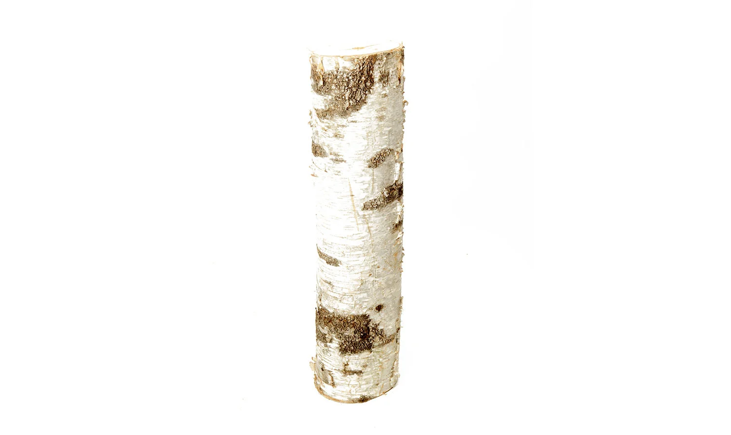 Birch Log (Various Sizes) 10-
