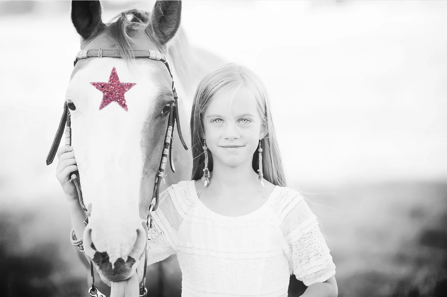 twinkle+horse-4.jpg