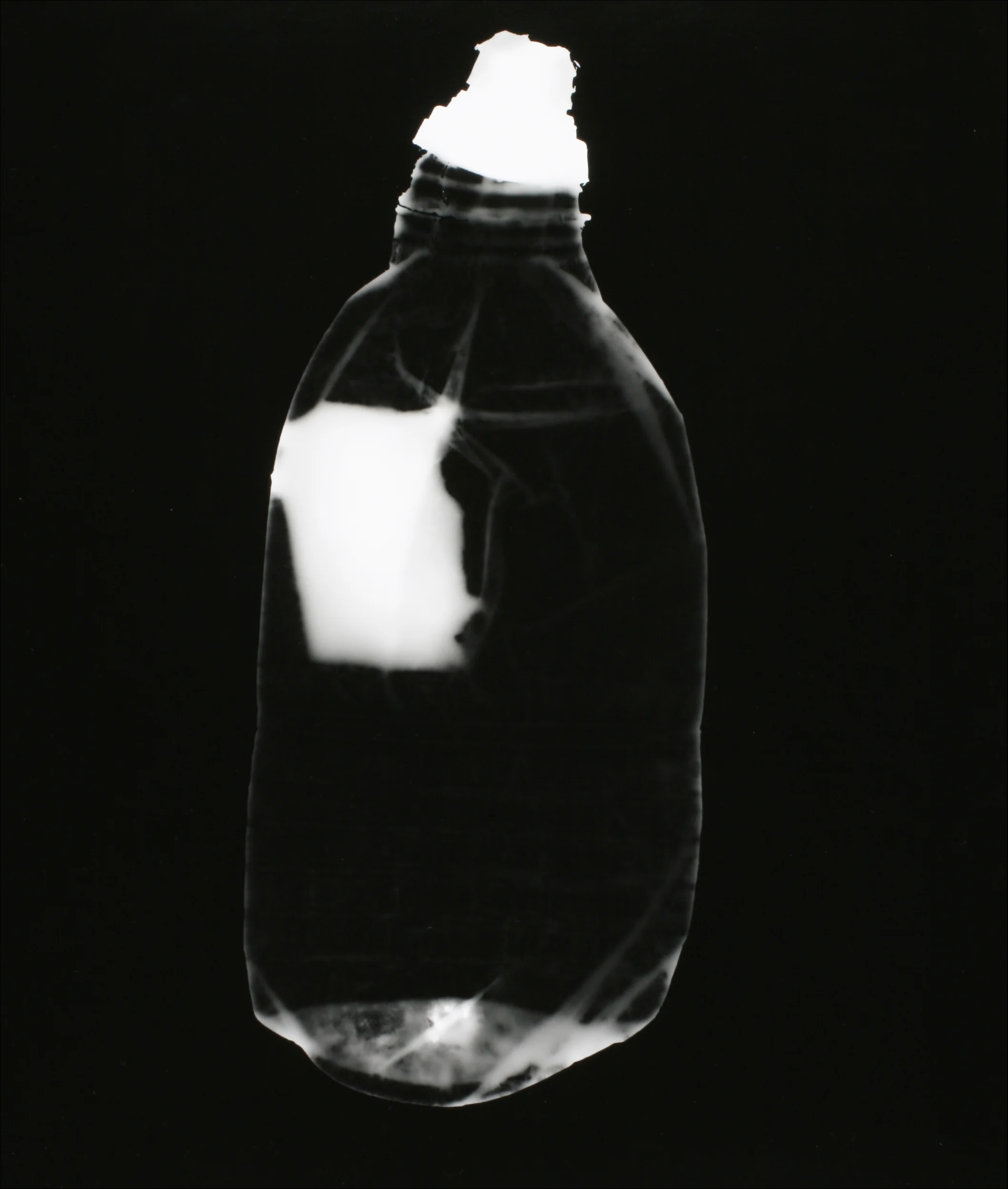 Vessel # 12 Photogram