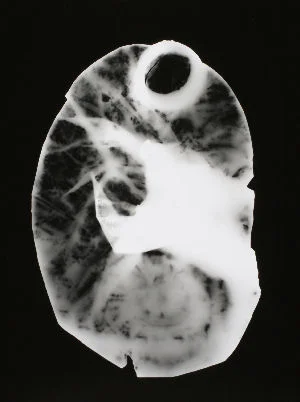 Vessel # 36 Photogram