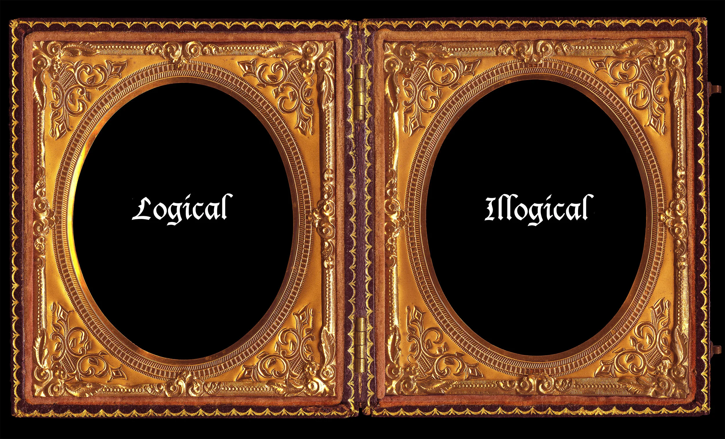 5.Logical/Illogical Series: True Biology