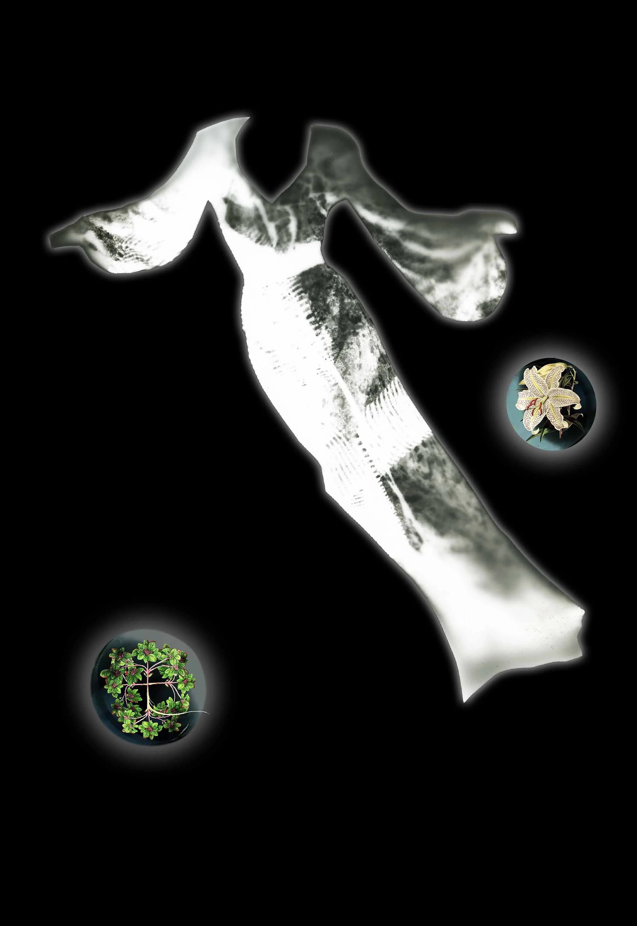 Spirit I Series: The Spiritualists