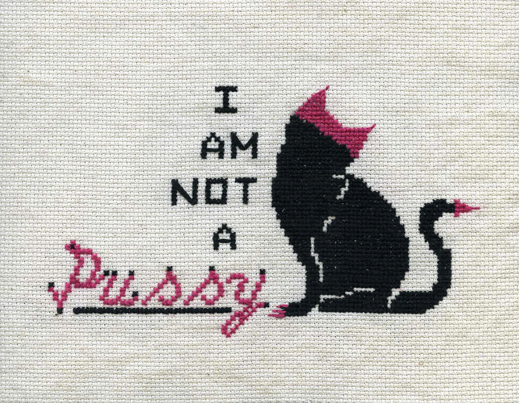 I Am Not A Pussy
