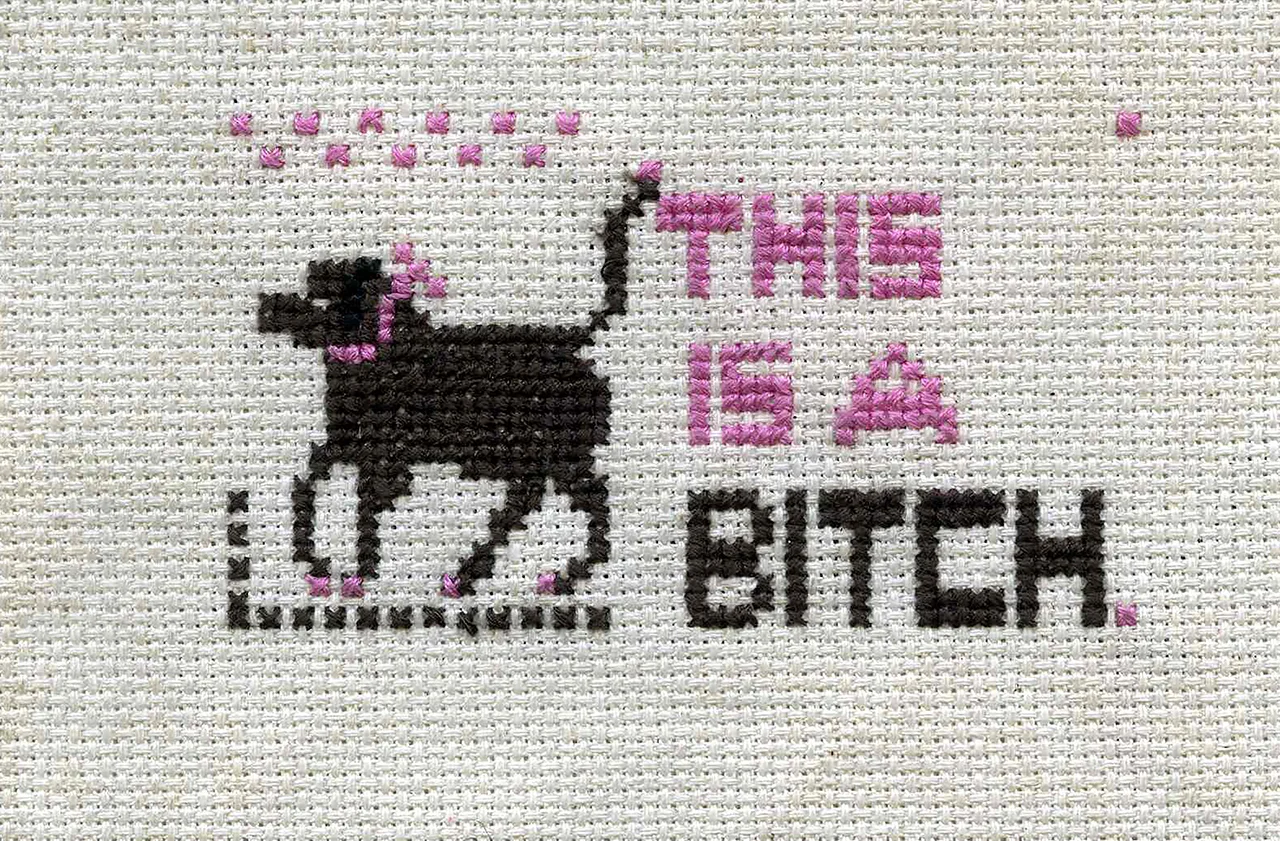 This Is A Bitch