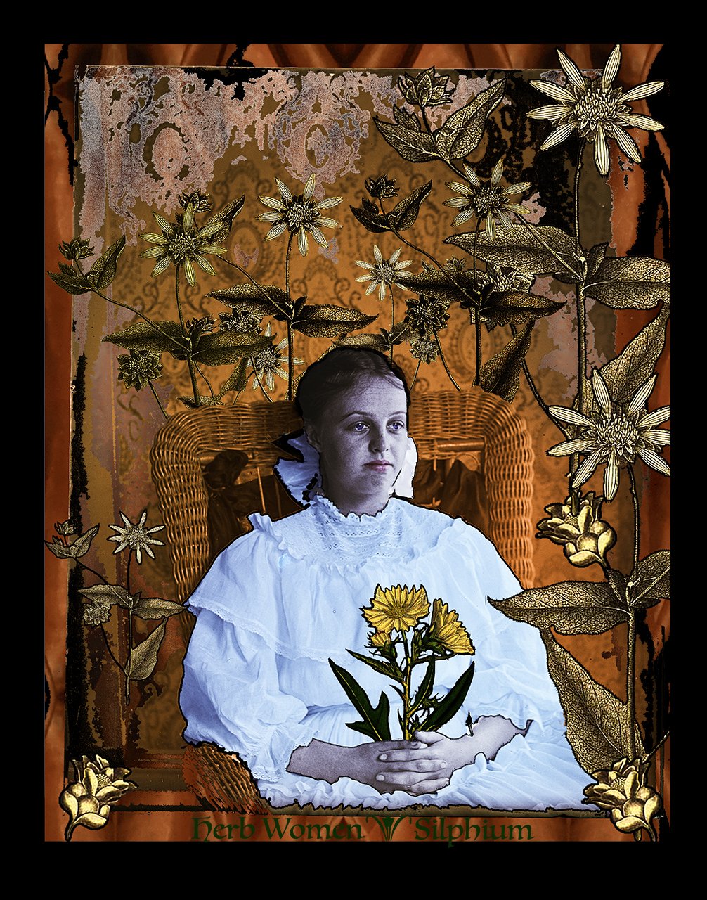 Adell with Silphium