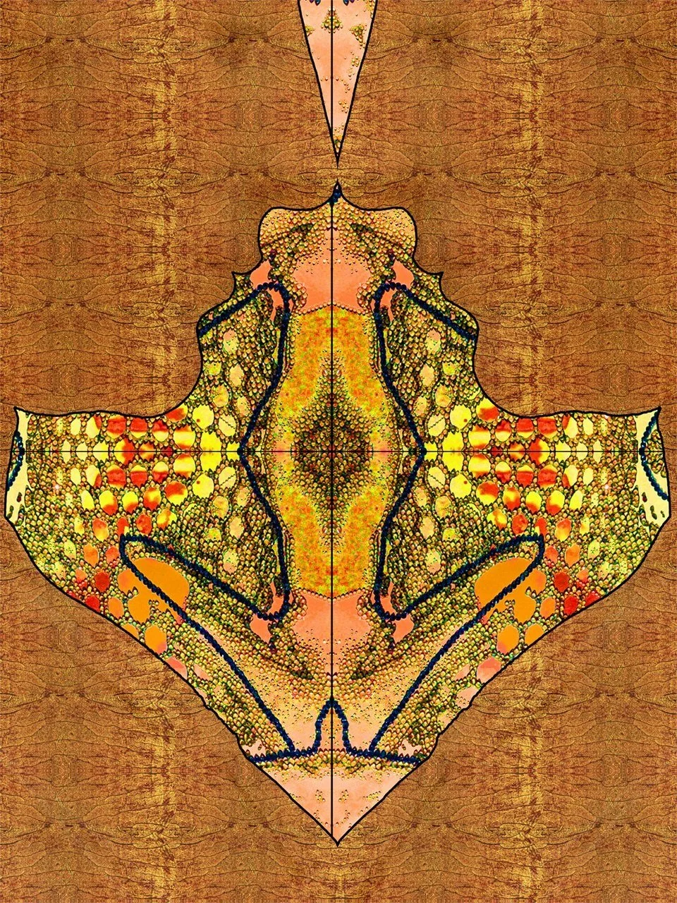 Metamorphosis xvi