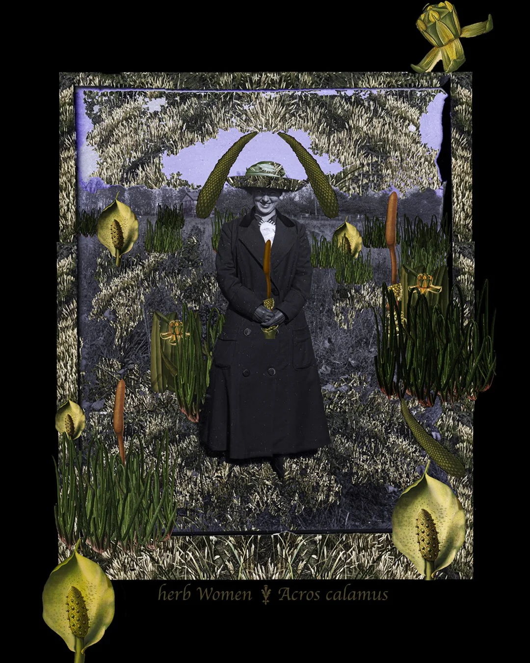 Jeanne with Acros calamus (Sweet flag)