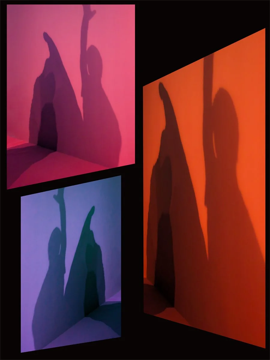 Dancing Shadows Pink, Blue & Orange LR.jpg