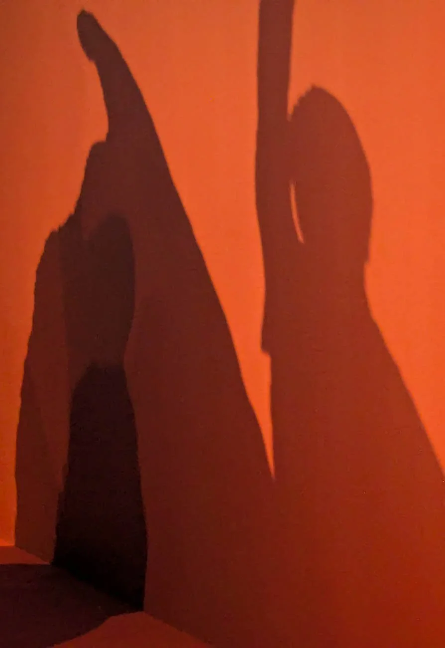 Contrapposto Dancing Shadows Orange .jpg