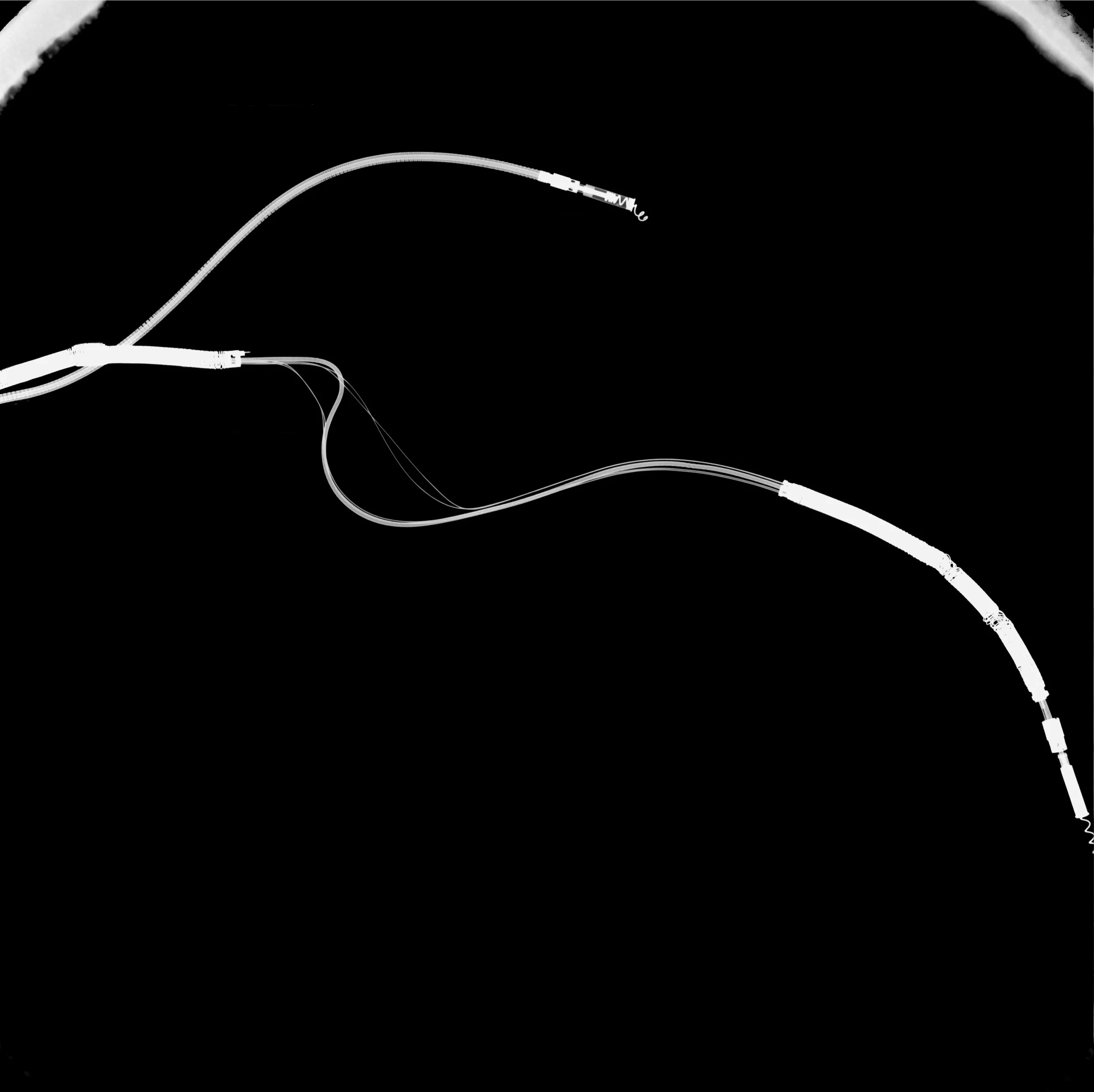 inverted radiograph.jpg