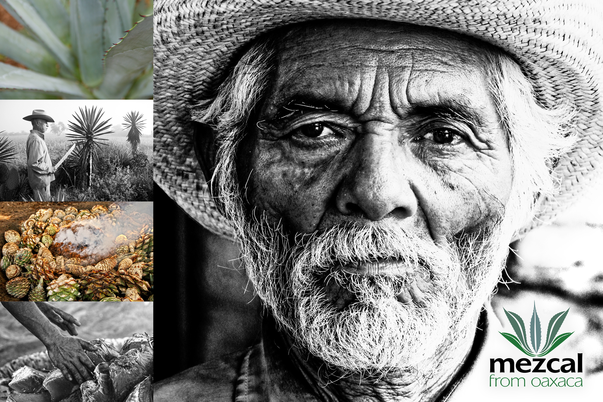 Poster developed for the “Mezcal from Oaxaca” project