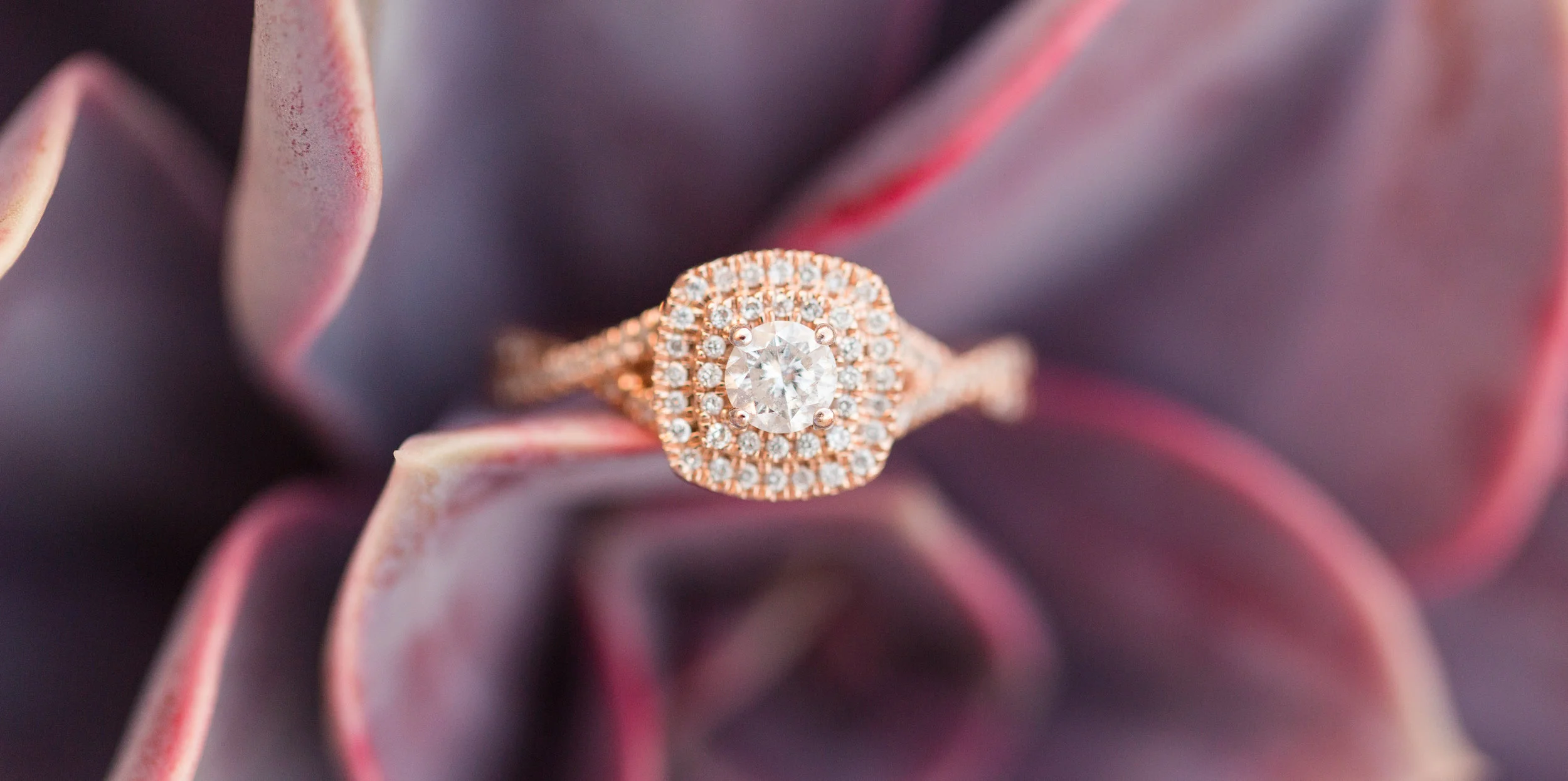 ccs diamonds crop 2.jpeg