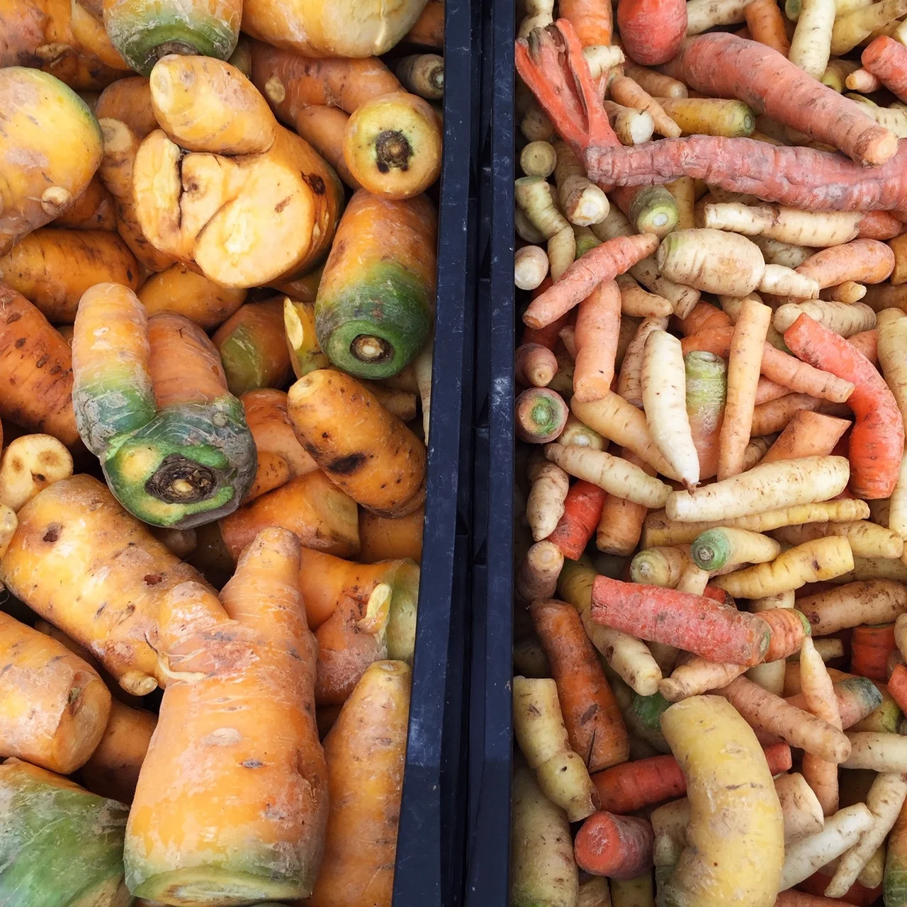 ny guide: a morning in union square