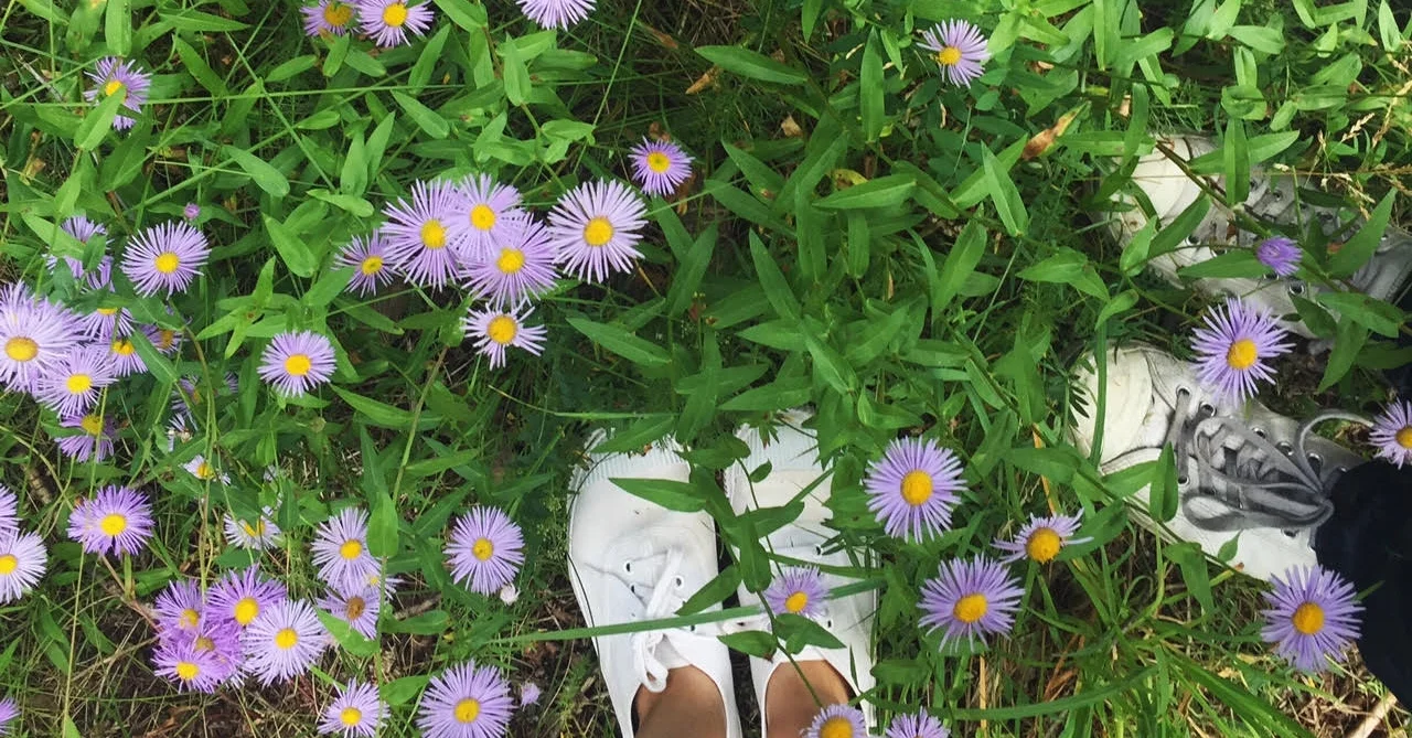 when in aspen: a few thing to eat, see, and do in the summertime