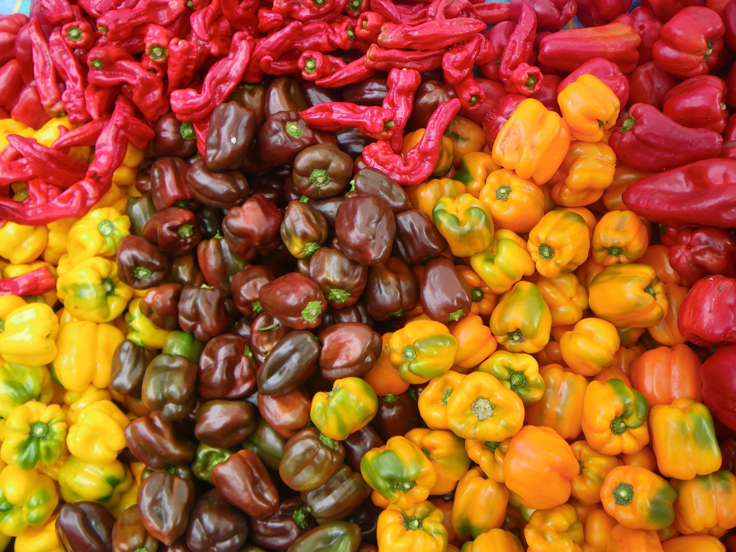 peppers.jpg