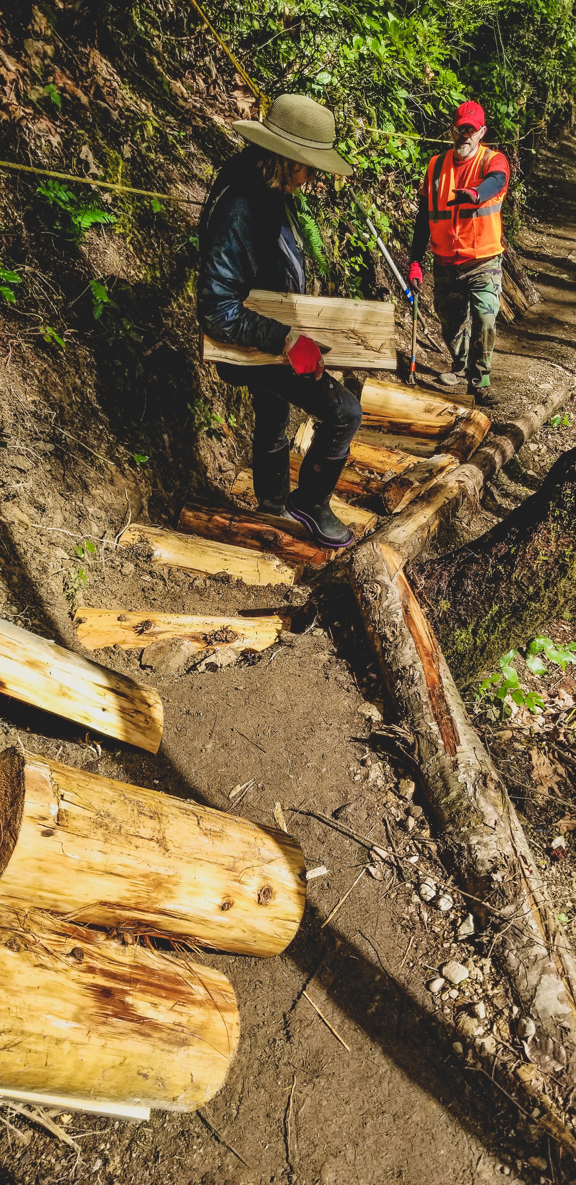 Volunteers laying out the log steps to get spacing before drilling and hammering rebar through them to keep them in place.