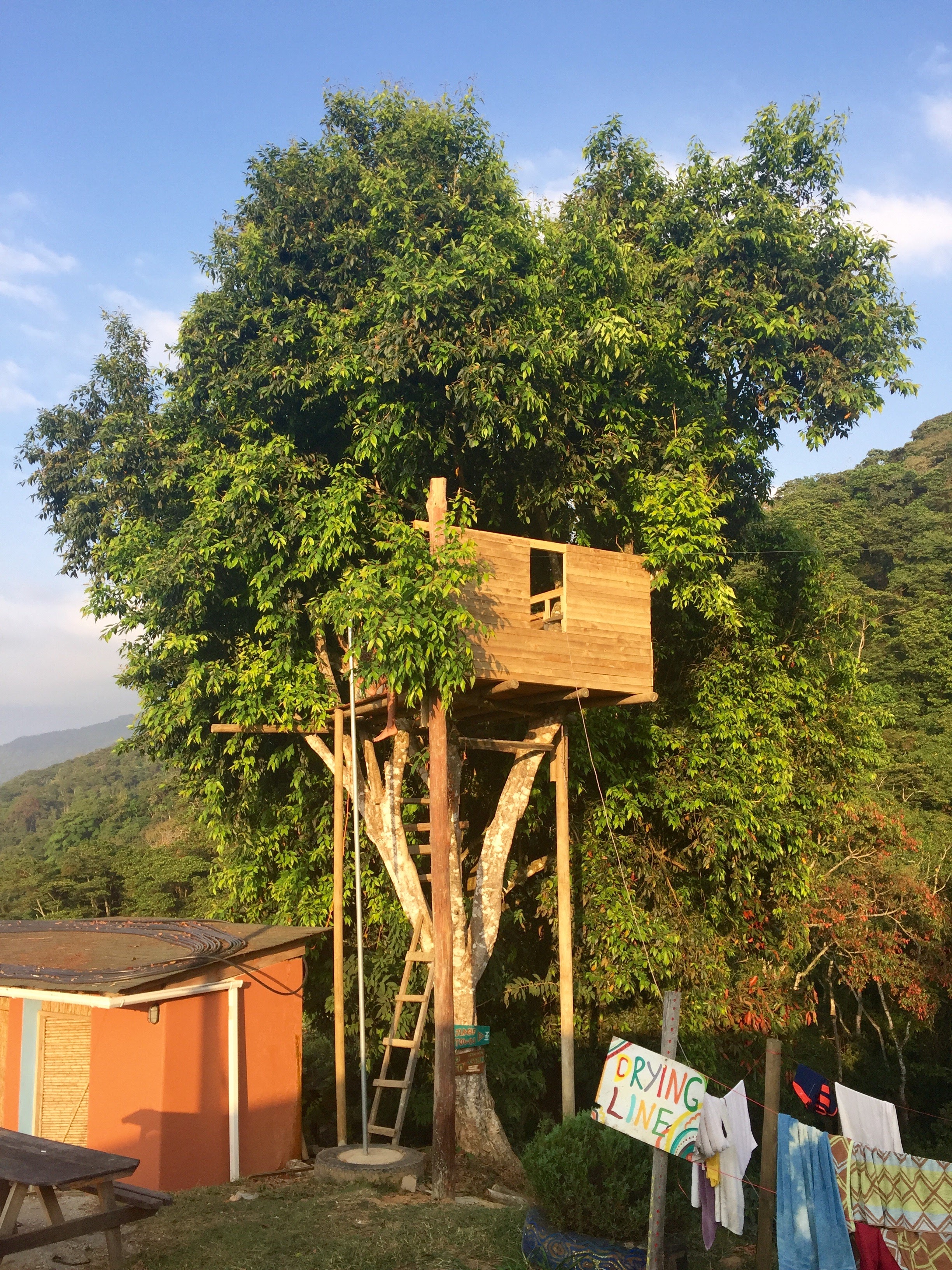 Tree house at Casa Elemento