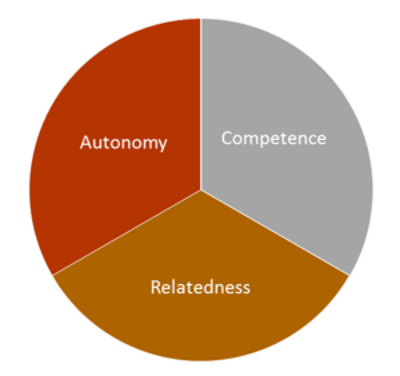 Self-determination theory: autonomy, competence and relatedness