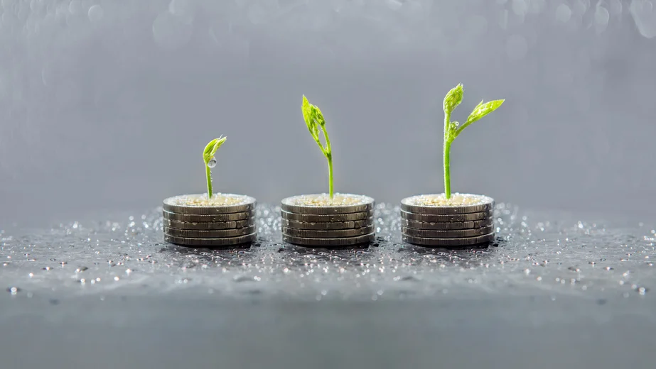 trees growing on coins, business with csr practice, Save and growing finance