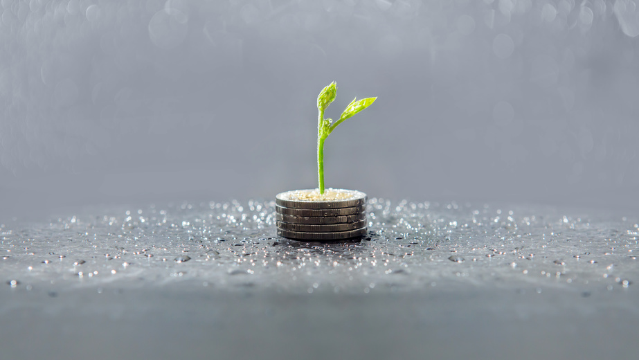 trees growing on coins, business with csr practice, Save and growing finance