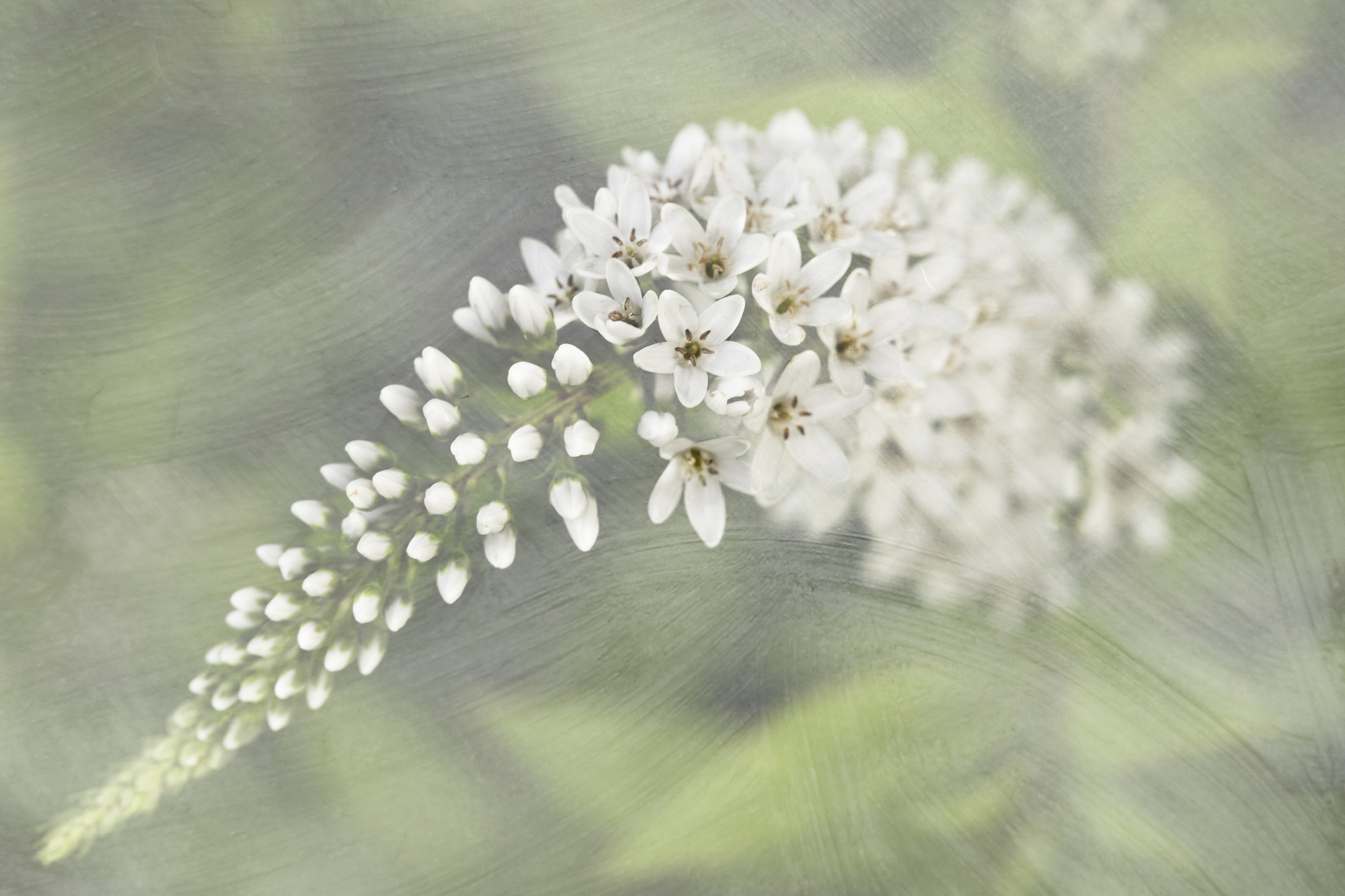 002A4815-Edit.jpg