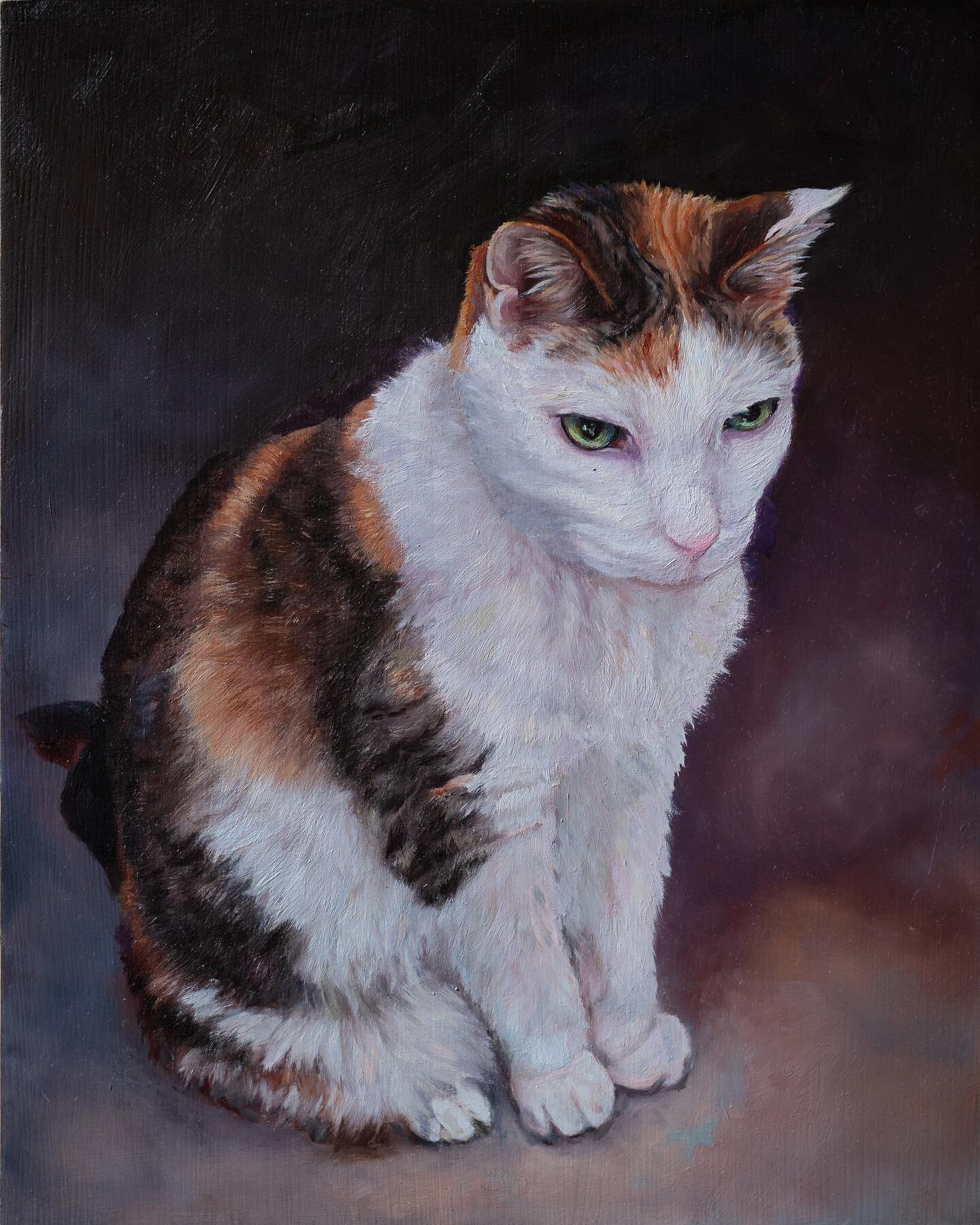 A special posthumous kitty portrait for an extra special family. Kaela. Oil on ACM panel. 
.
.
.
.
.
.
#commissionedart #brushstrokes #catportrait #catportraits #catportraitsofinstagram #commissionpainting #catartwork #portraitcommission #artgifts #c