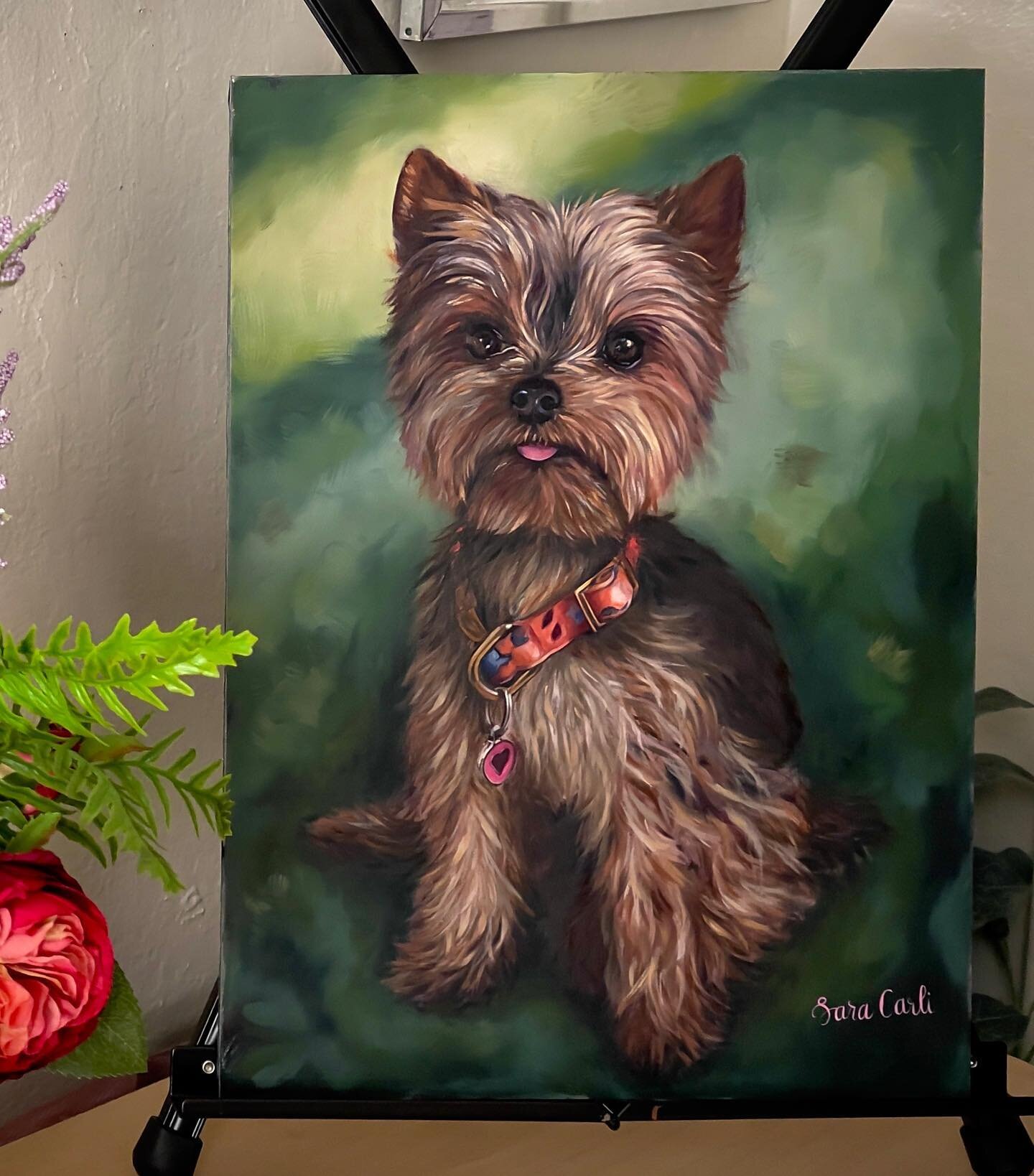 Daisy. Oil on aluminum panel. #petportraitartist #petportraitsfromphotos #dogportraitpainting #dogpainting #petportraitpainting #petportraitcommission