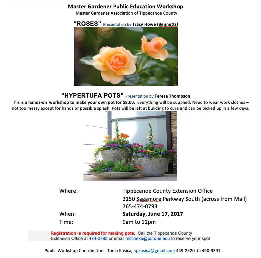 workshop-June17.jpg