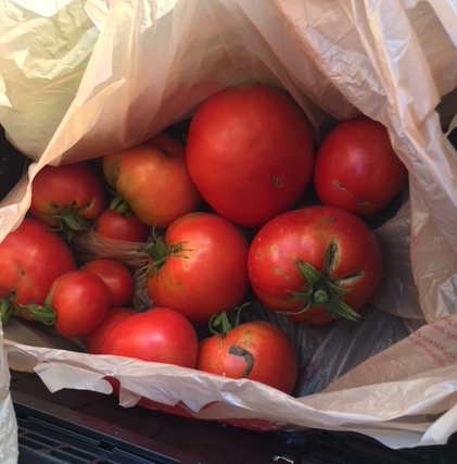 tomatoes.jpg
